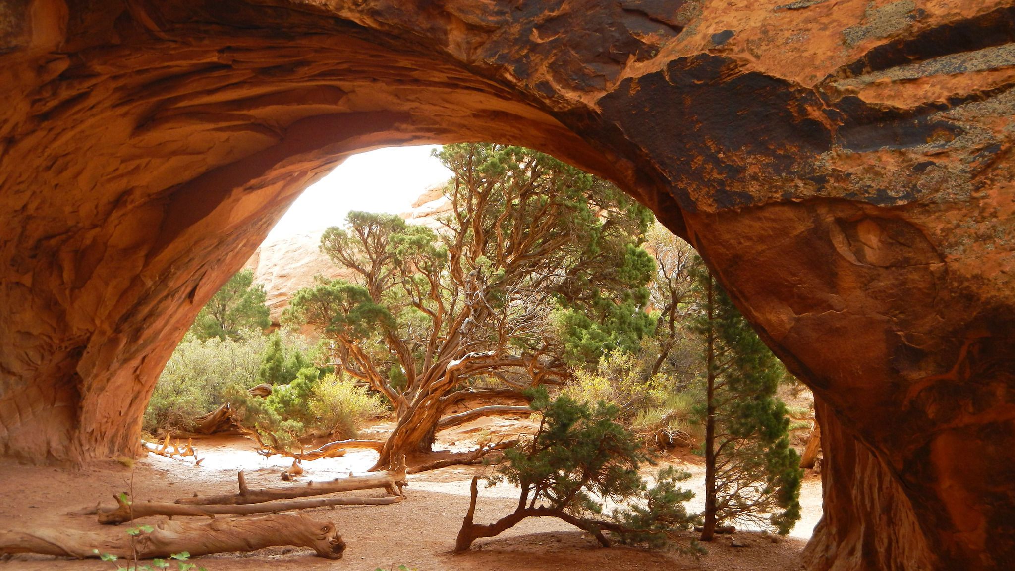 Photos of Navajo Arch Trail