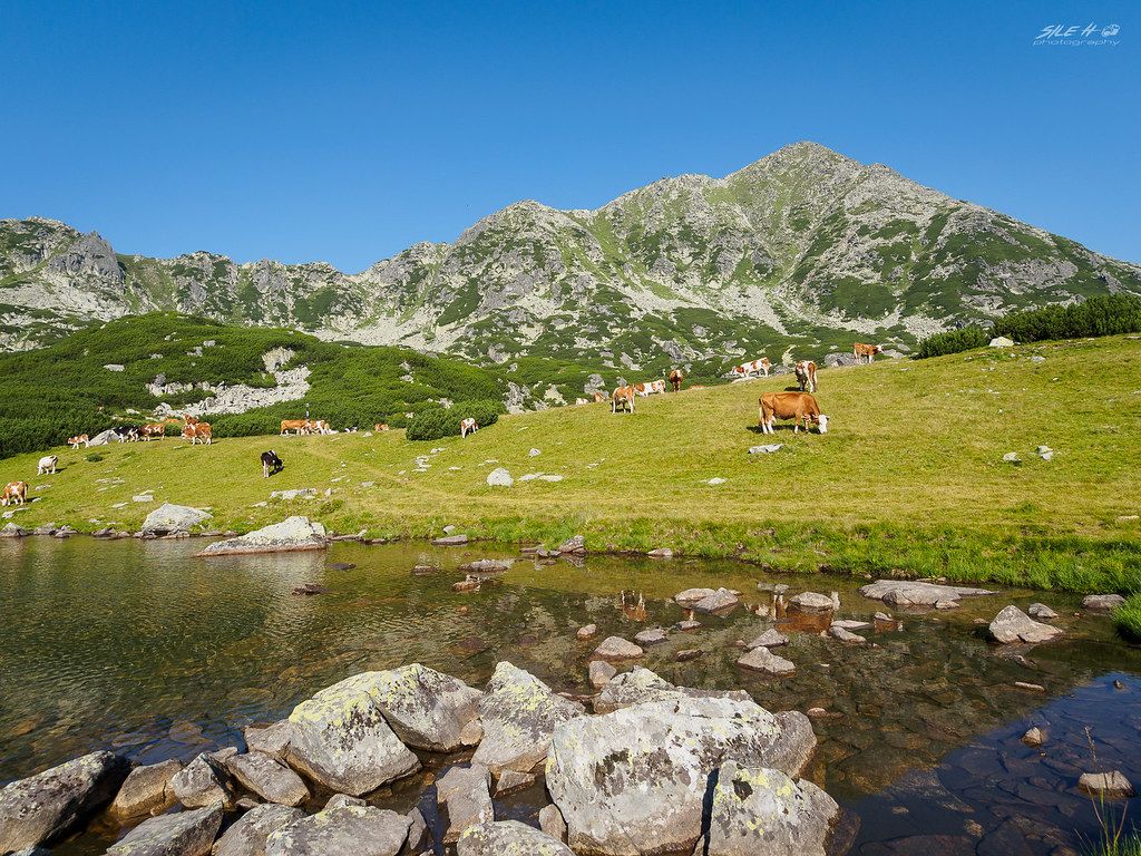 Retezat National Park. OLYMPUS DIGITAL CAMERA