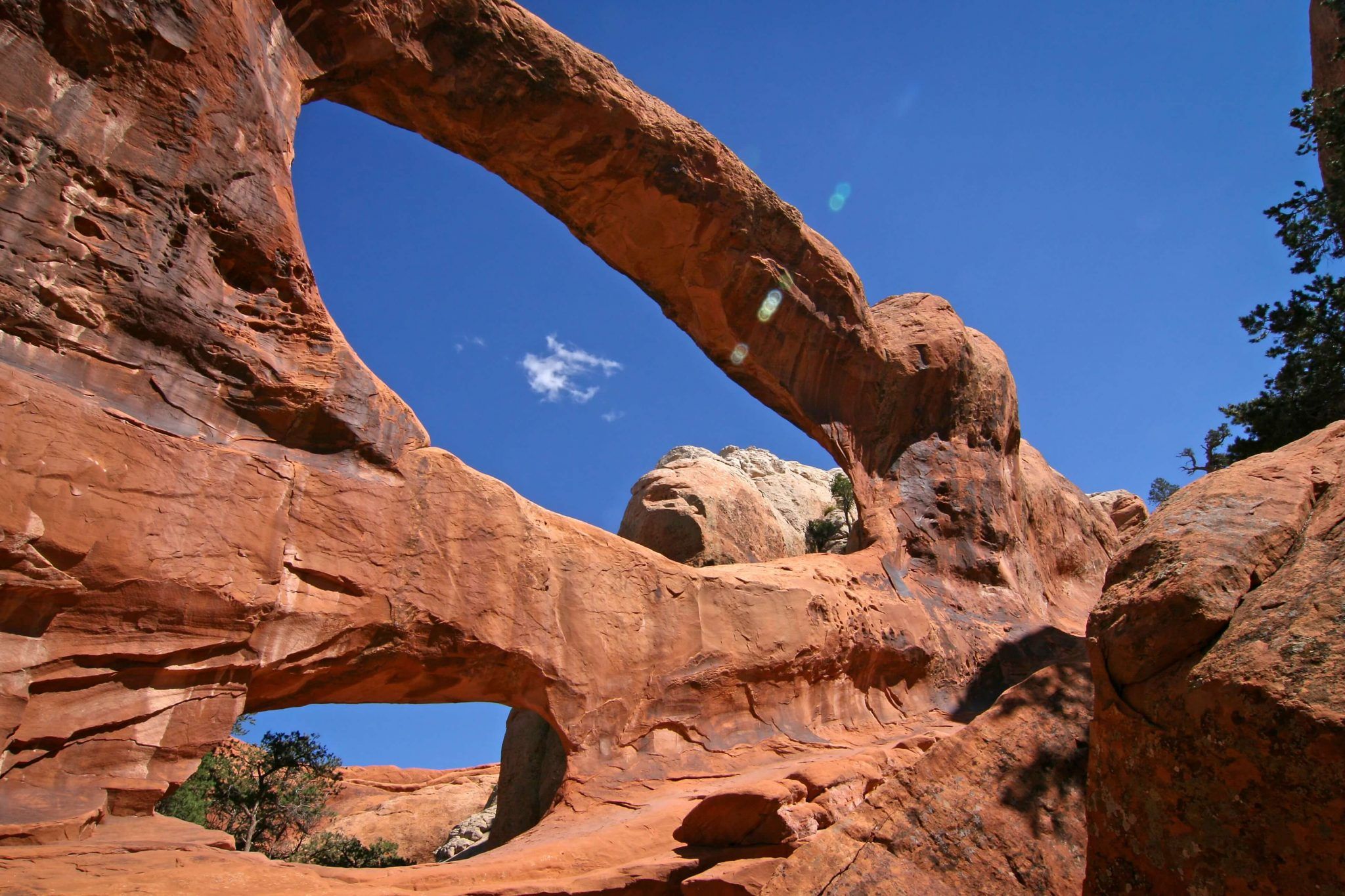 Double O Arch • Desert Solitude