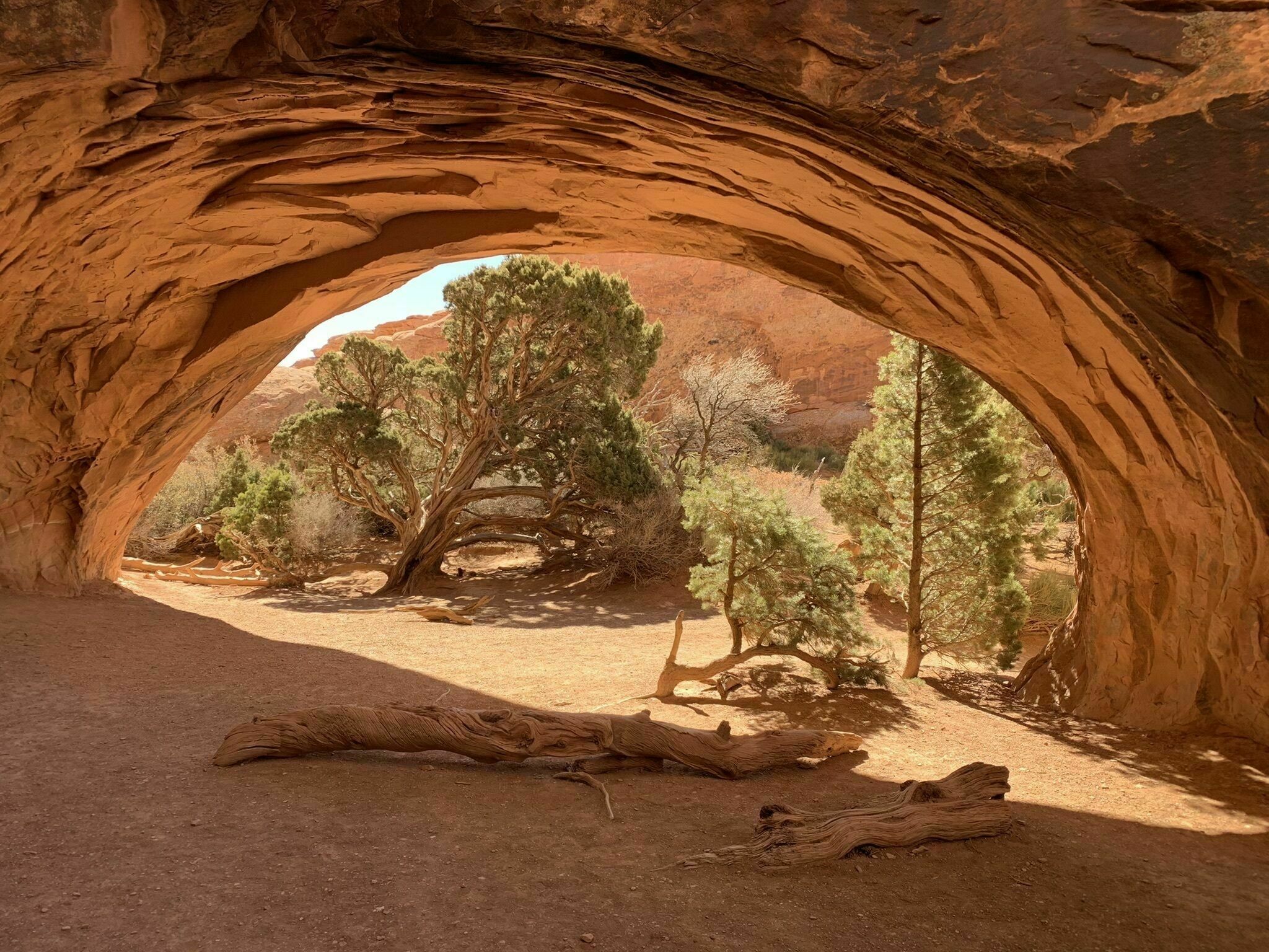Photos of Navajo Arch Trail