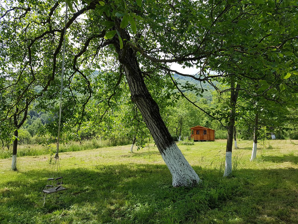 Vacation Home Retezat Retreat cabin, Clopotiva, Romania