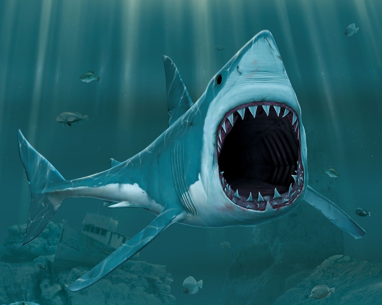 3D Shark Cartoon Open Mouth Sharp Teeth HD Desktop White Shark Art HD Wallpaper
