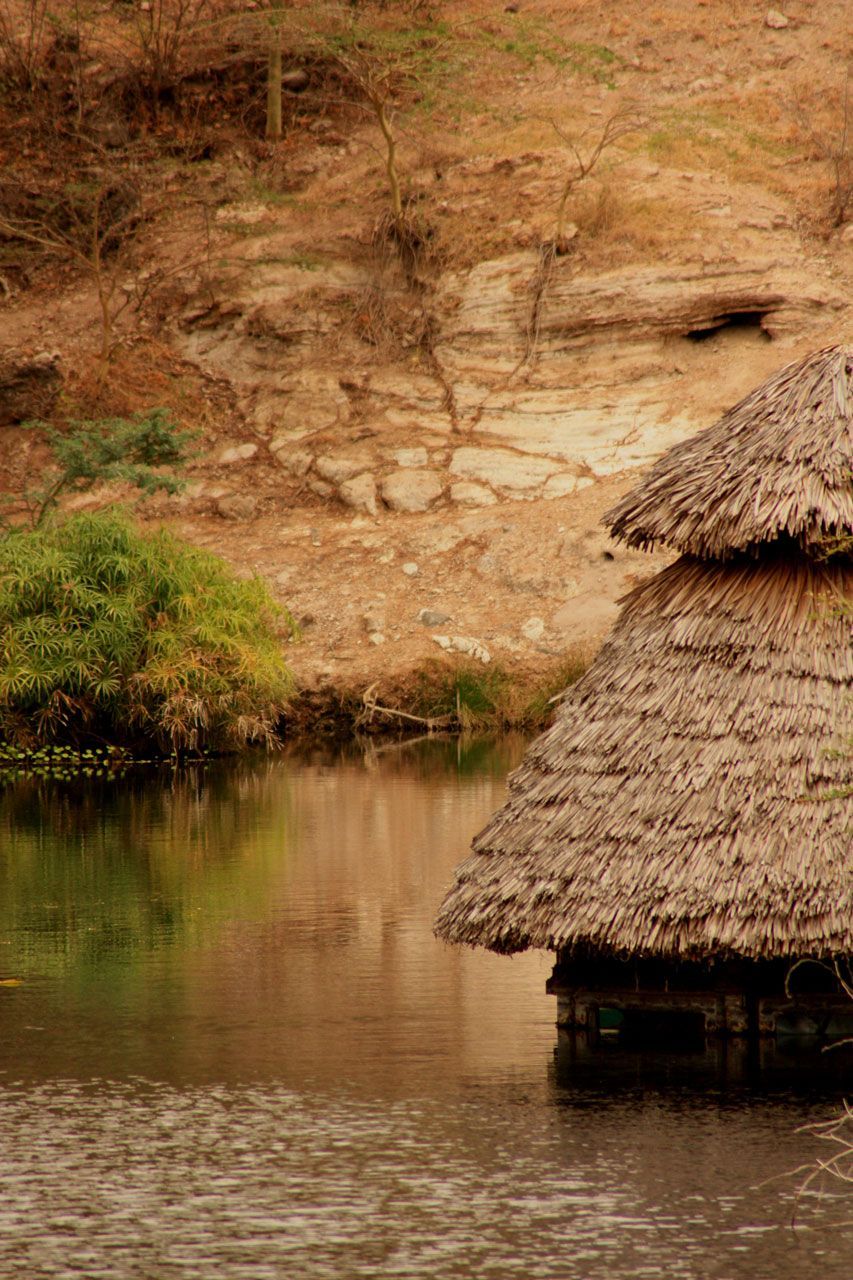 house river free download HD wallpaper. HD wallpaper, Wallpaper, Latest wallpaper