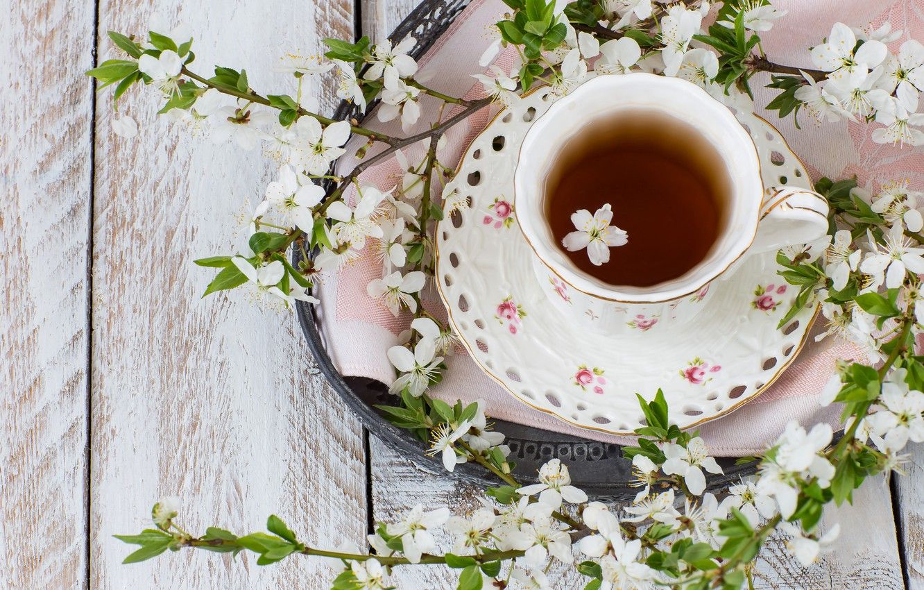 Wallpaper spring, flowering, blossom, flowers, cup, spring, tea, Cup of tea image for desktop, section цветы