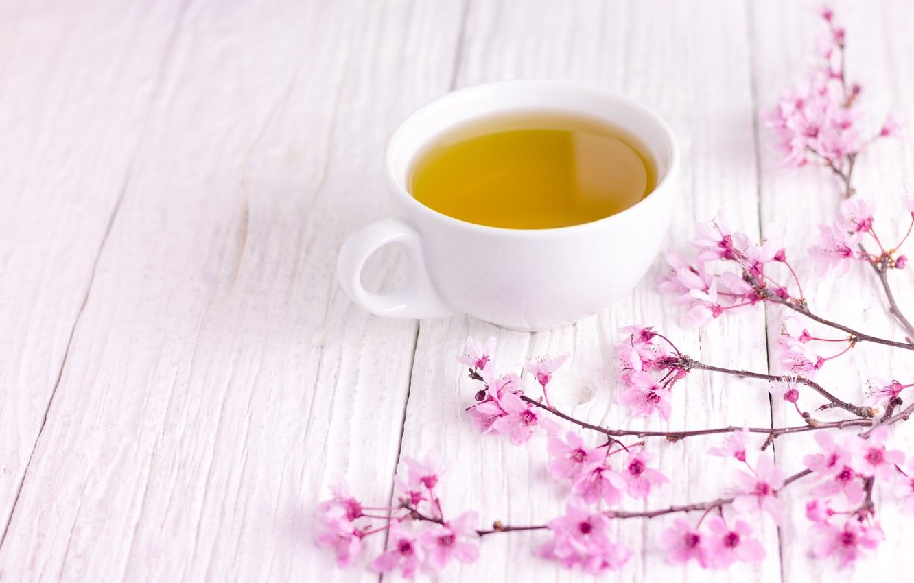 Wallpaper branches, spring, Sakura, flowering, wood, pink, blossom, cup, sakura, cherry, spring, tea, bloom, Cup of tea image for desktop, section еда