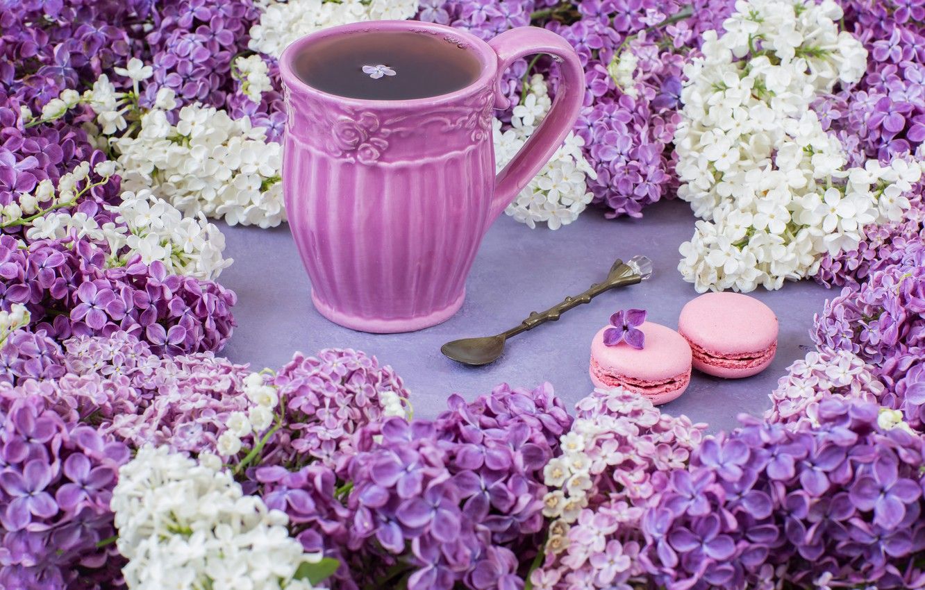 Wallpaper flowers, branches, flowers, lilac, cup, spring, purple, tea, macaroons, macaron, lilac, macaroon, Cup of tea image for desktop, section цветы