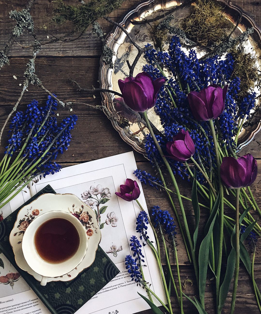 books, coffee, tea. Flowers photography, Flower cafe, Lavender aesthetic