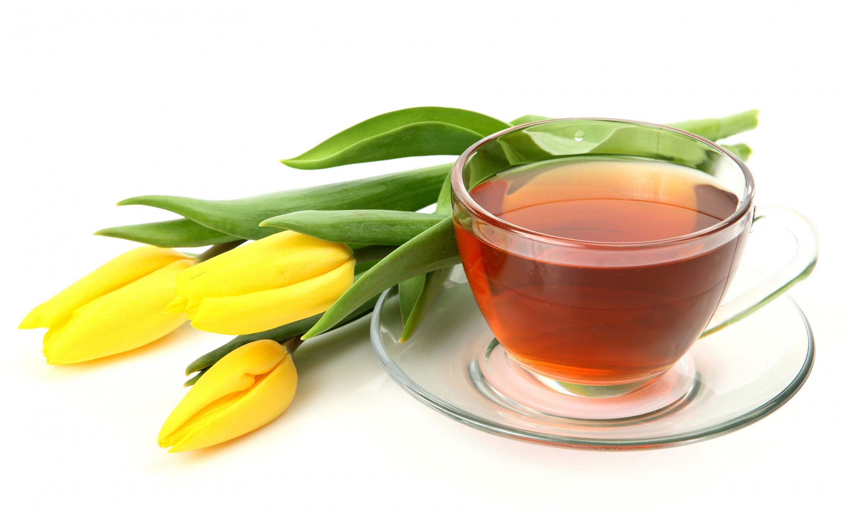 Download wallpaper cup of tea, yellow tulips, spring flowers, flower tea, tulips on a white background, tea on a white background, yellow flowers for desktop with resolution 2880x1800. High Quality HD picture