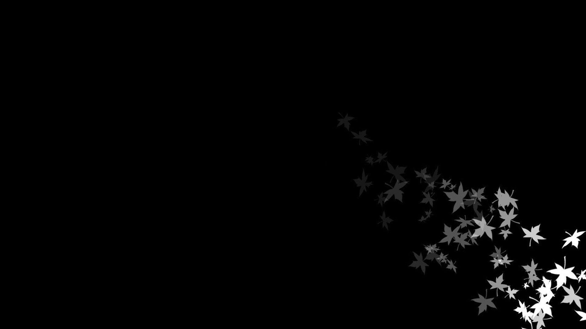 White Leaves On Side With Dark Black Background HD Black Aesthetic Wallpaper