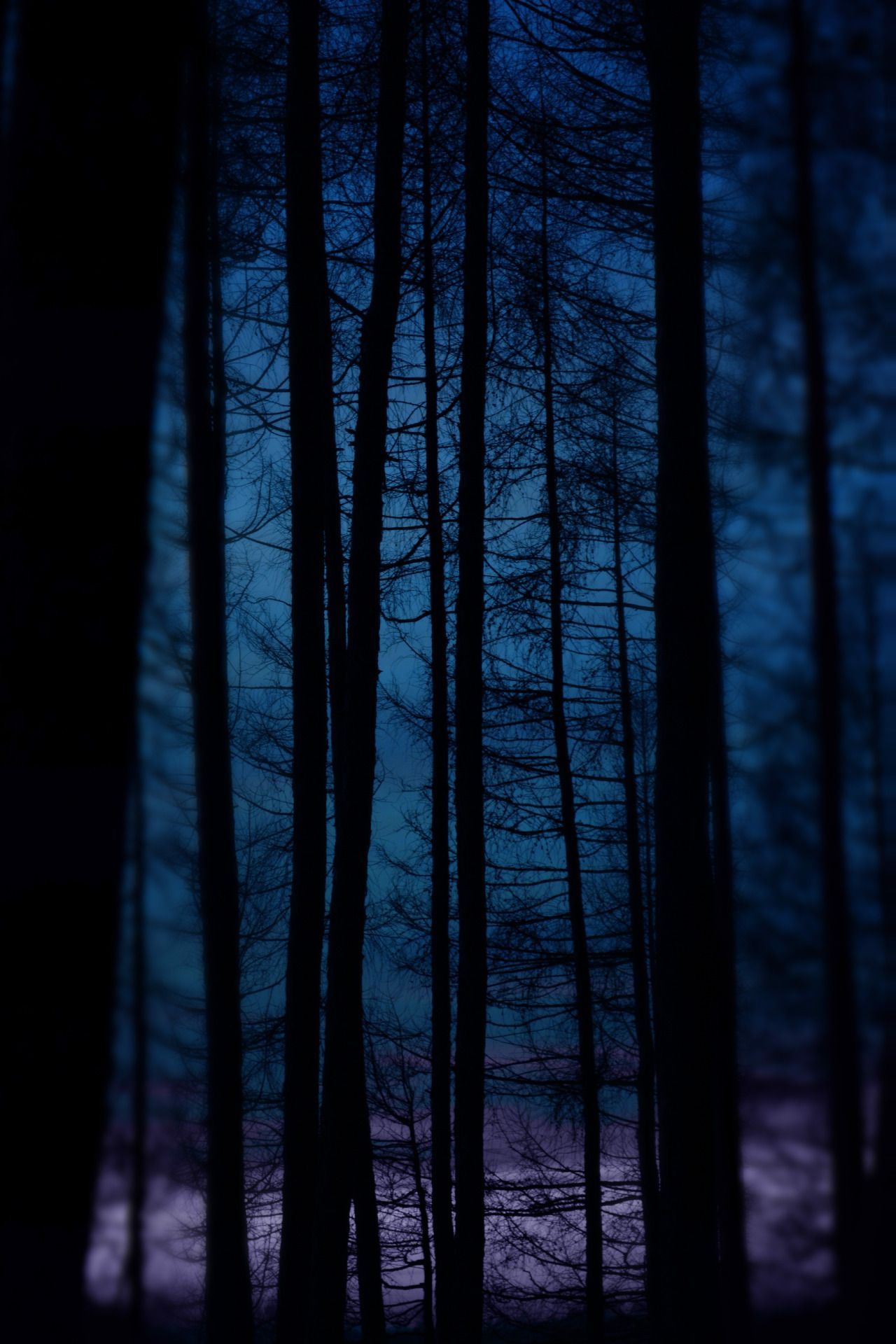 Lensblr Network: “ Inner Moonlight Photo By Frostklamm.tumblr.com ”. Ravenclaw Aesthetic, Blue Aesthetic, Stranger Things Wallpaper