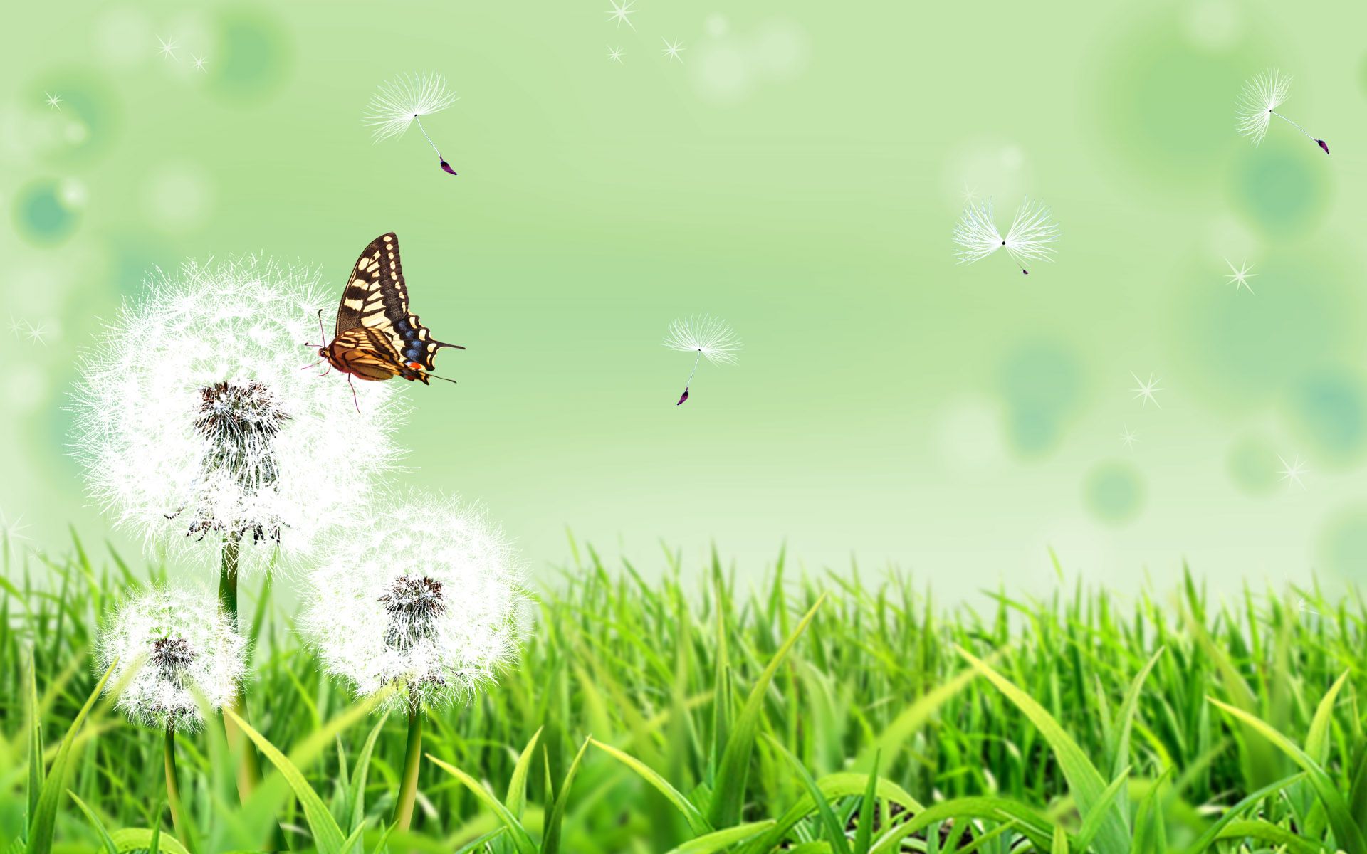 Free download Scenery Wallpaper Includes Dandelion and Butterfly Doing Good [1920x1200] for your Desktop, Mobile & Tablet. Explore Wallpaper Good for Eyes. Wallpaper Good for Eyes, Eyes Wallpaper for