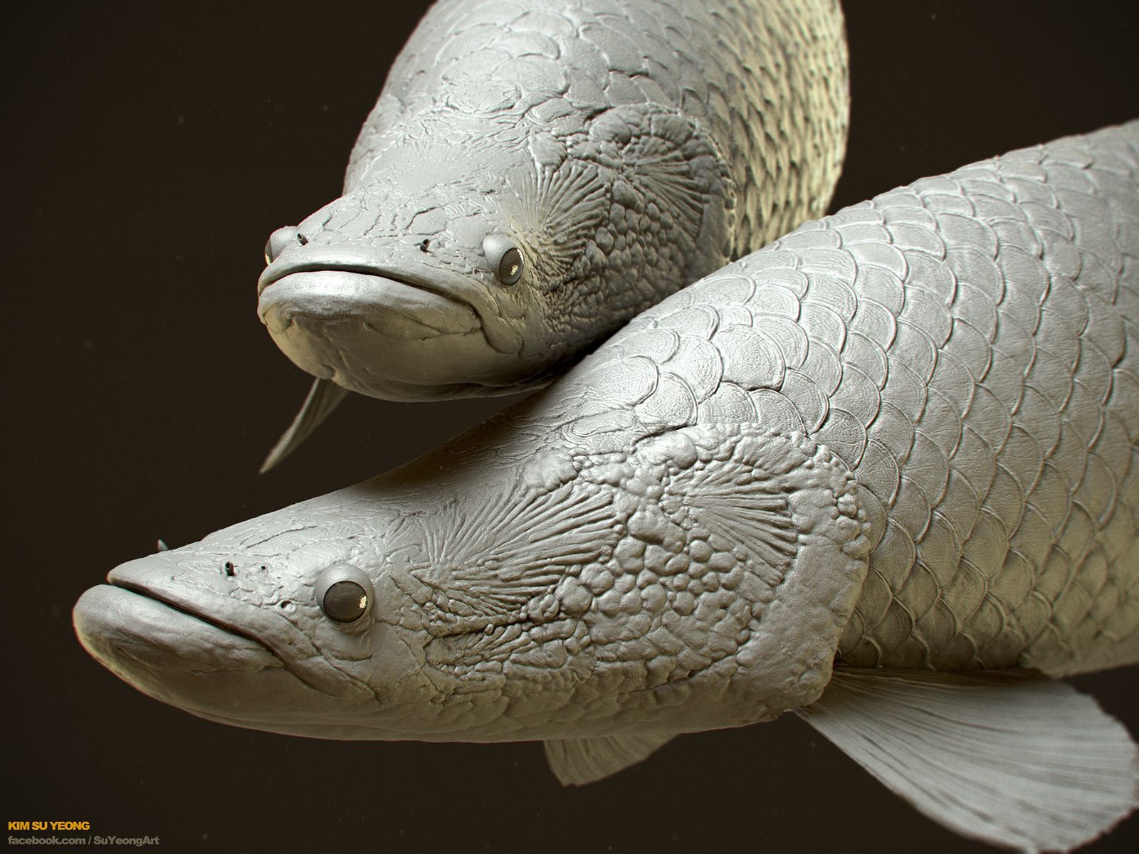 Arapaima Wallpapers - Wallpaper Cave