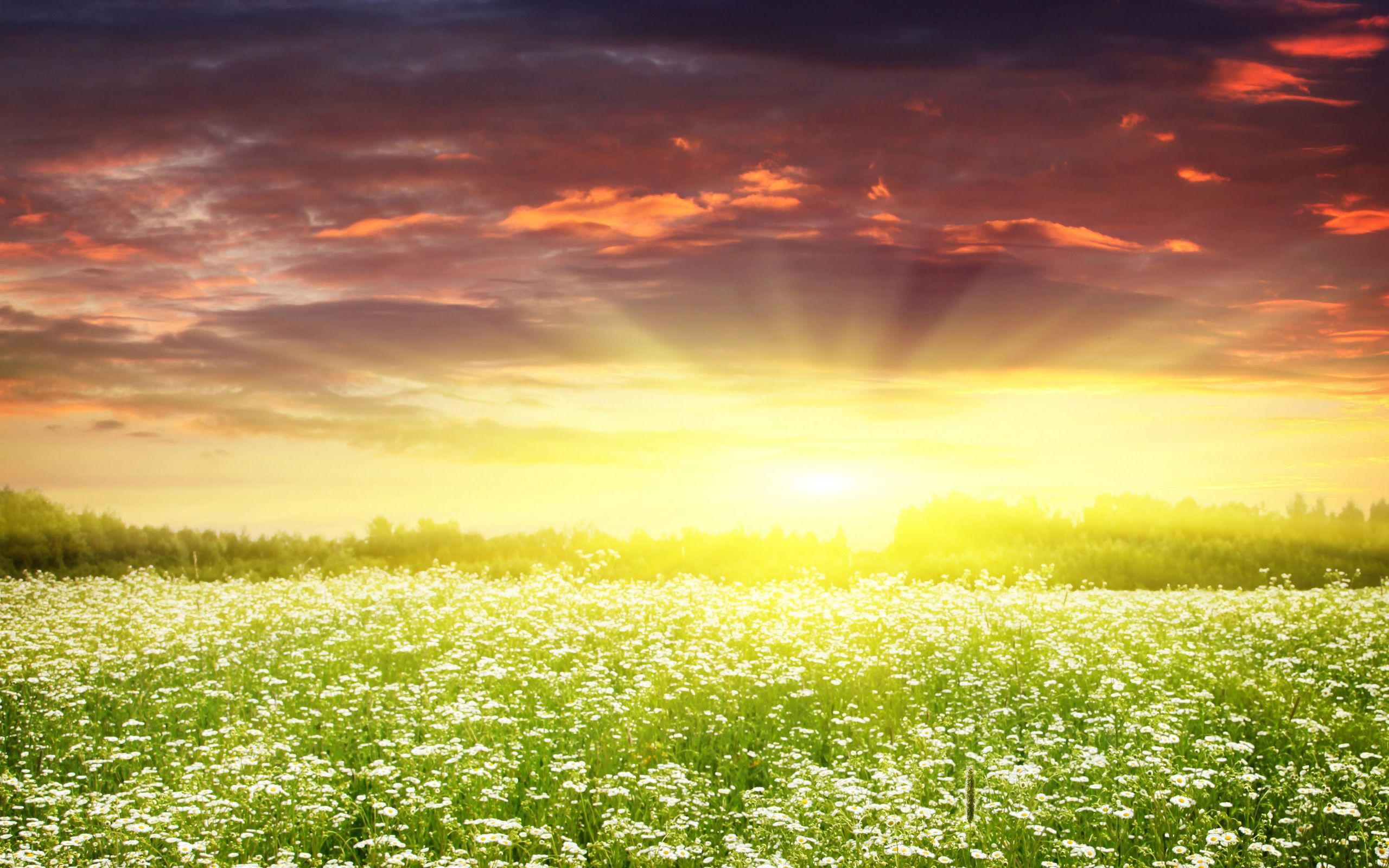 Sunrise Spring Wallpapers Wallpaper Cave