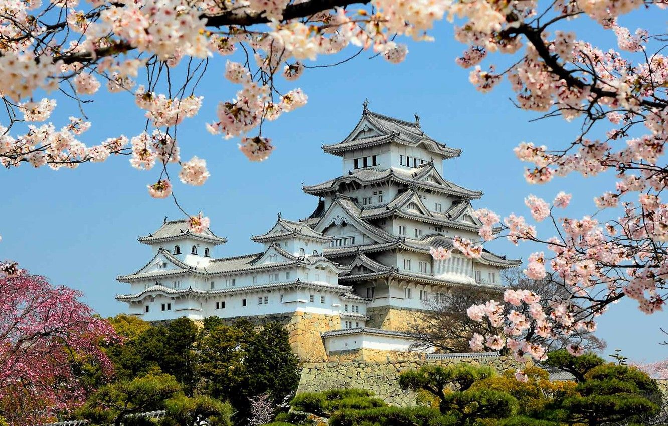Photo Wallpaper Spring, Japan, Flowering, Himeji Castle Castle Japan