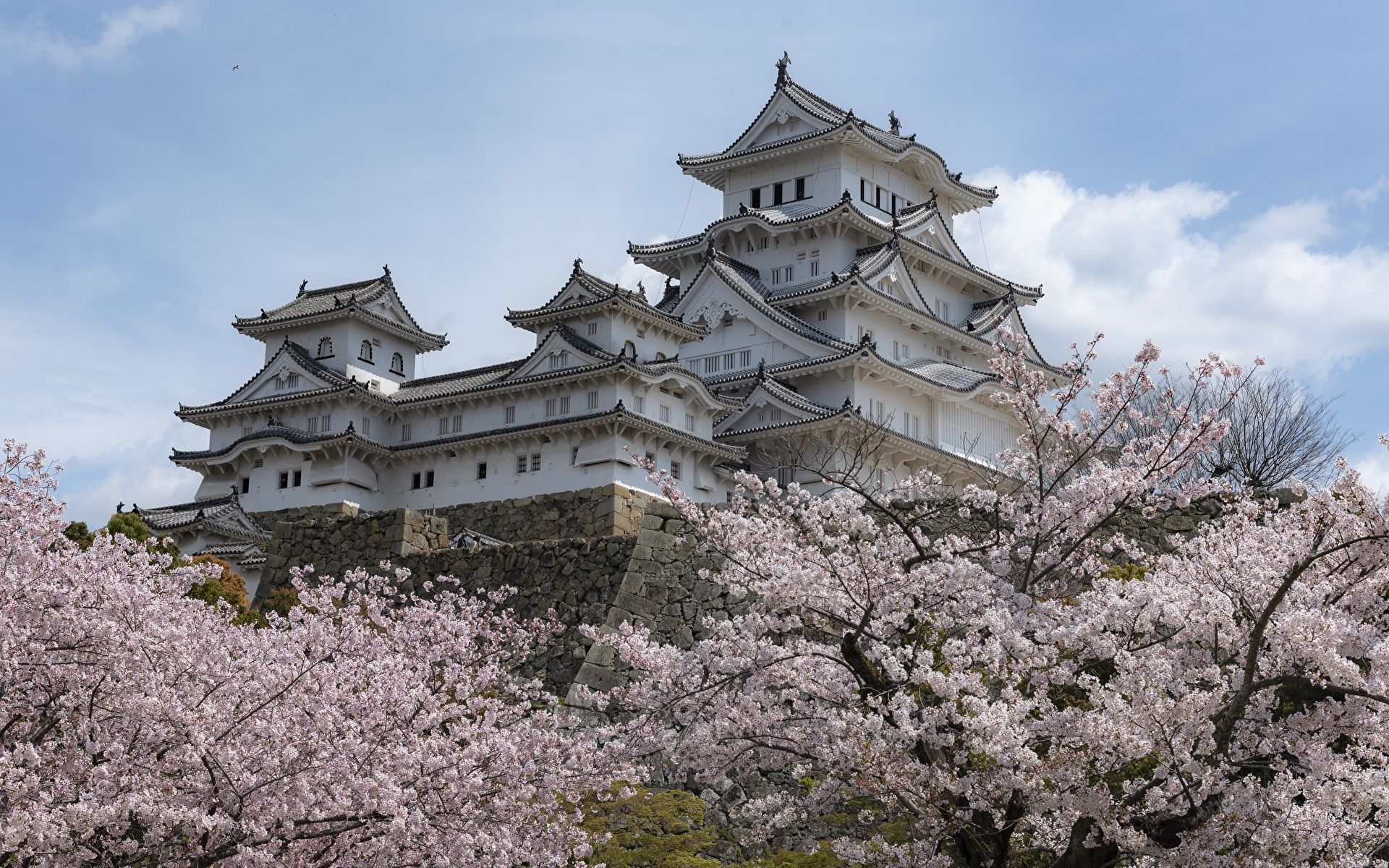 Wallpaper Japan Himeji Castle Spring Castles Cities 1920x1200