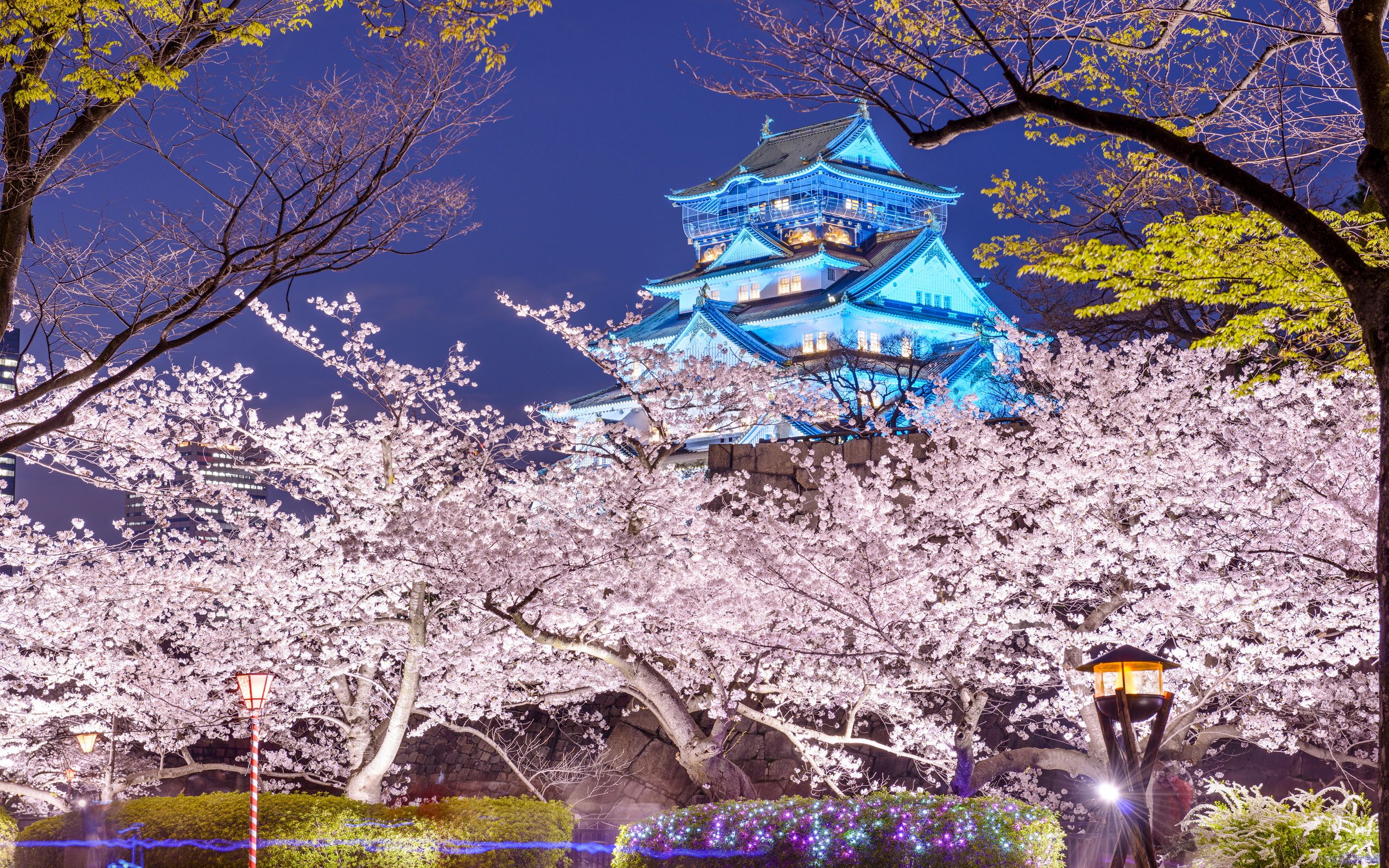Japan Osaka Osaka Castle Spring Wallpaper:2560x1600