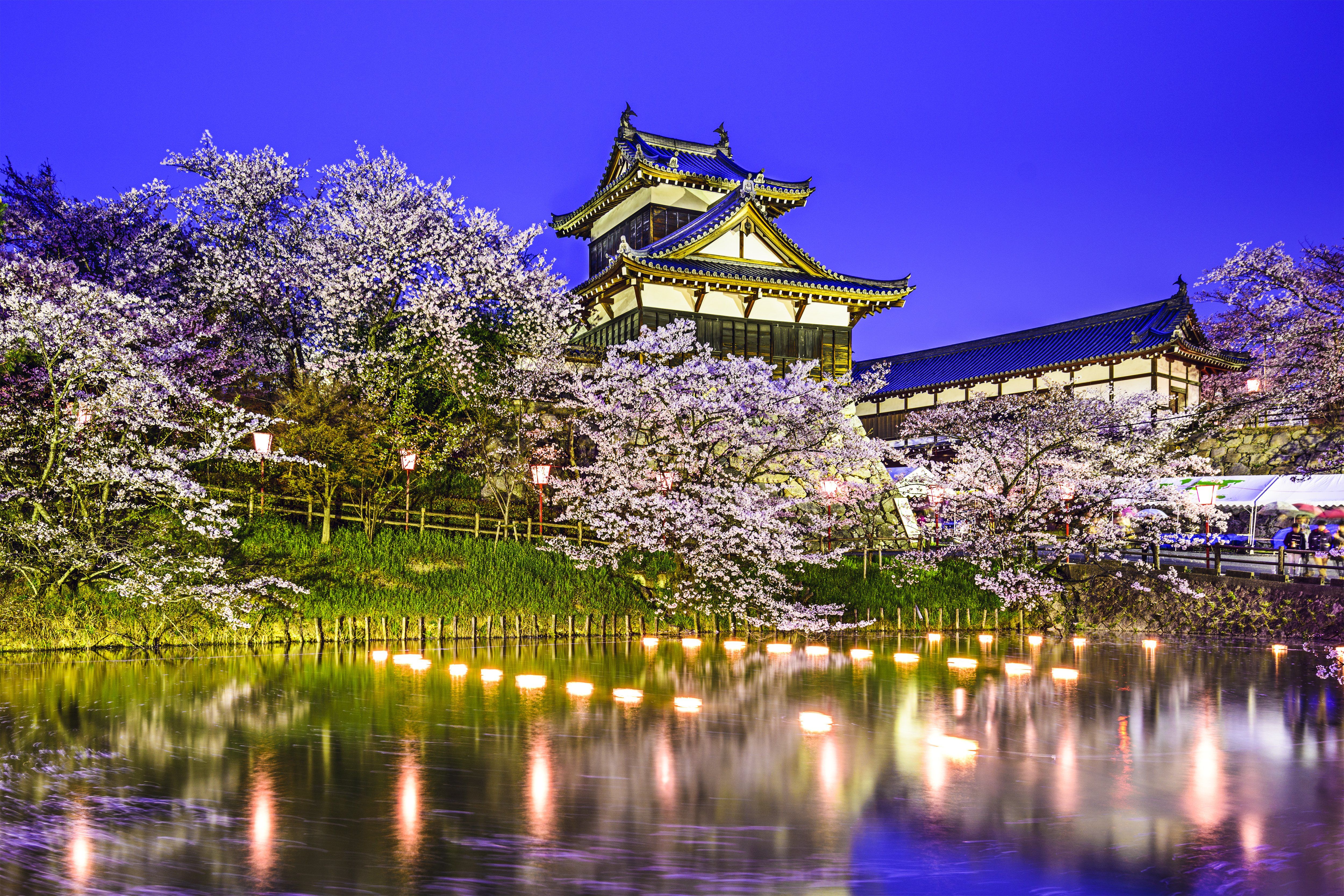 Koriyama Castle Yamatokoriyama Japan pond pond spring park trees cherry reflection lights wallpaperx3333