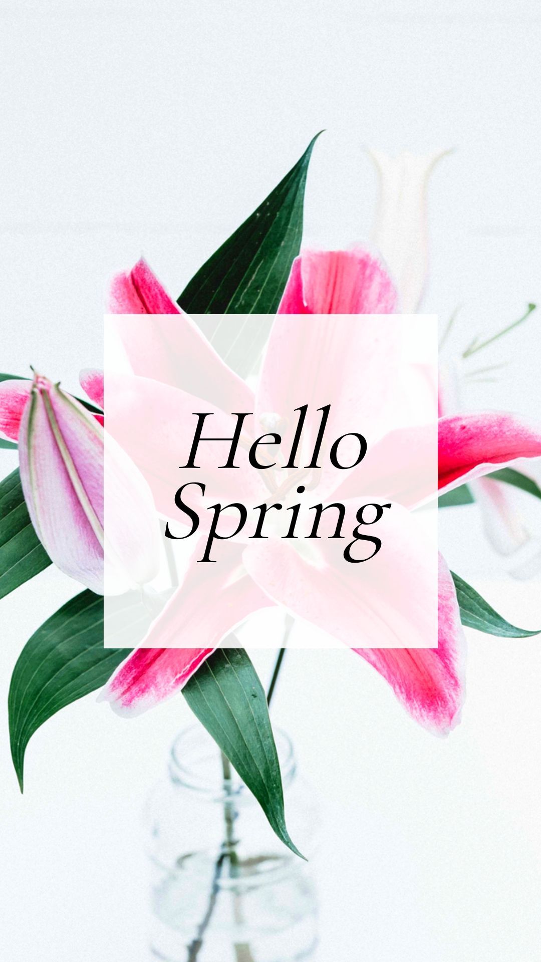 Hello Spring Wallpaper for iPhone Mobile