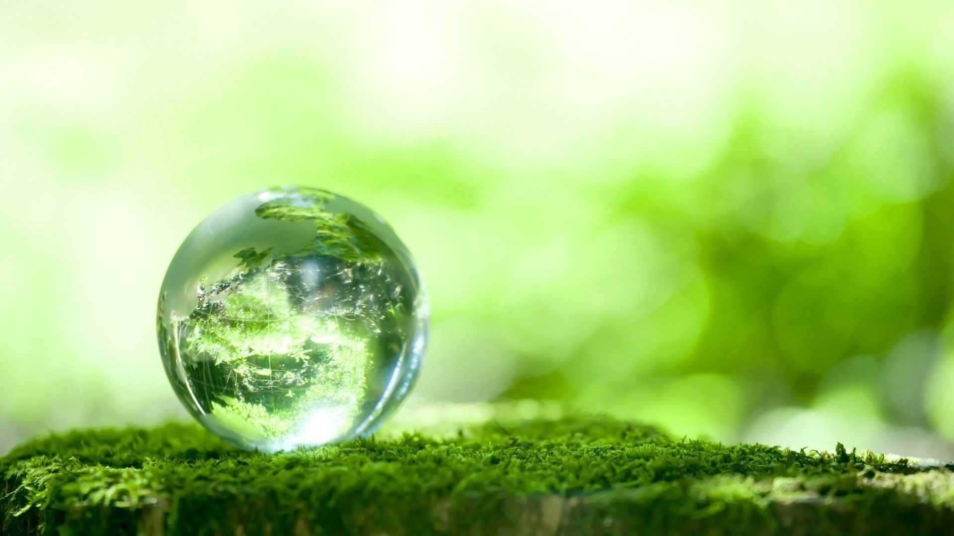 Glass Ball Macro Wallpaper. Nature, Green, Planets wallpaper