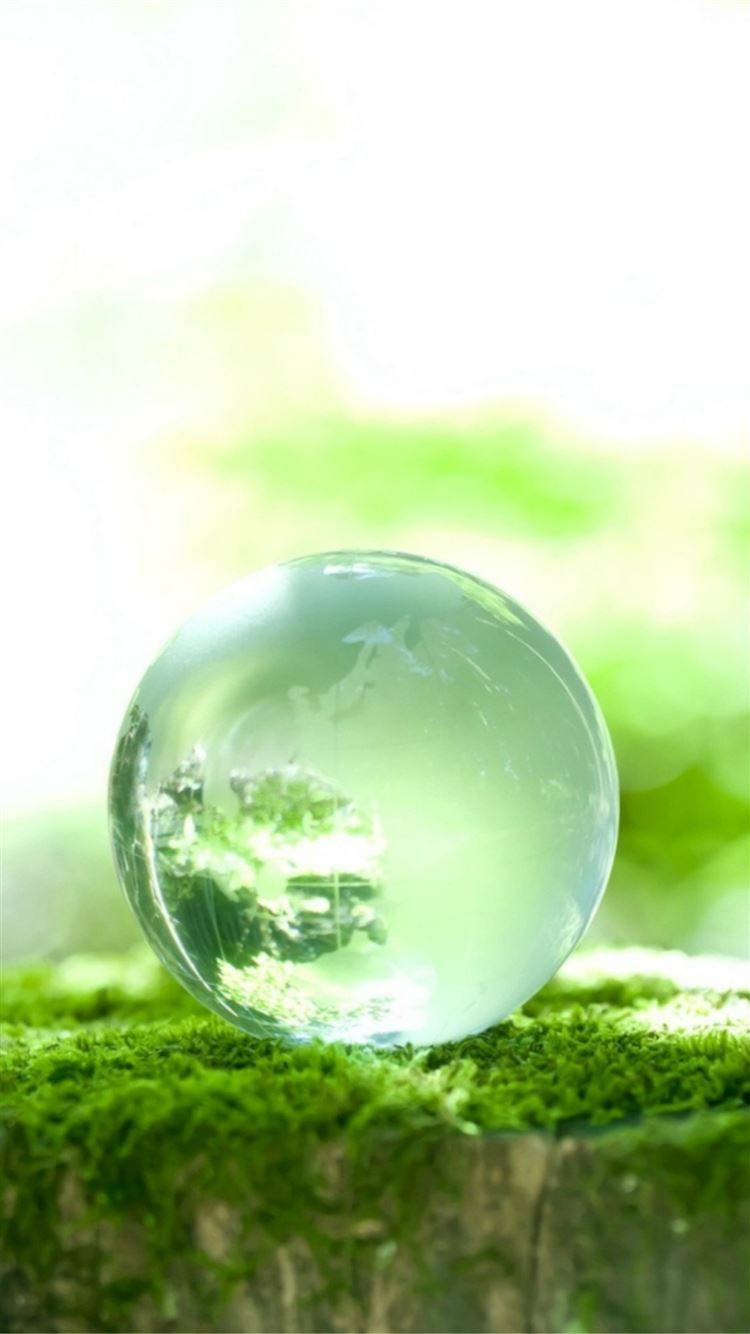Pure Crystal Cyan Glass Ball Moss Macro iPhone 8 Wallpaper Free Download
