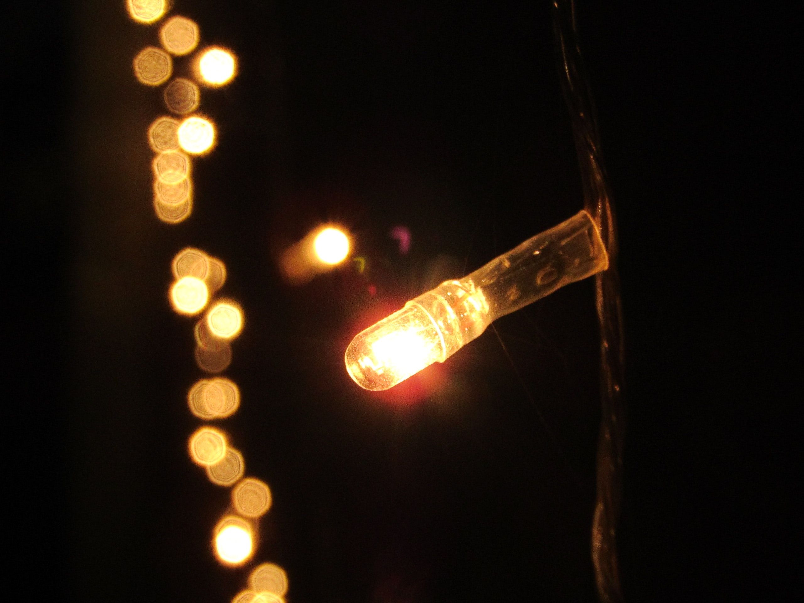 Free of Diwali, festival, led lights