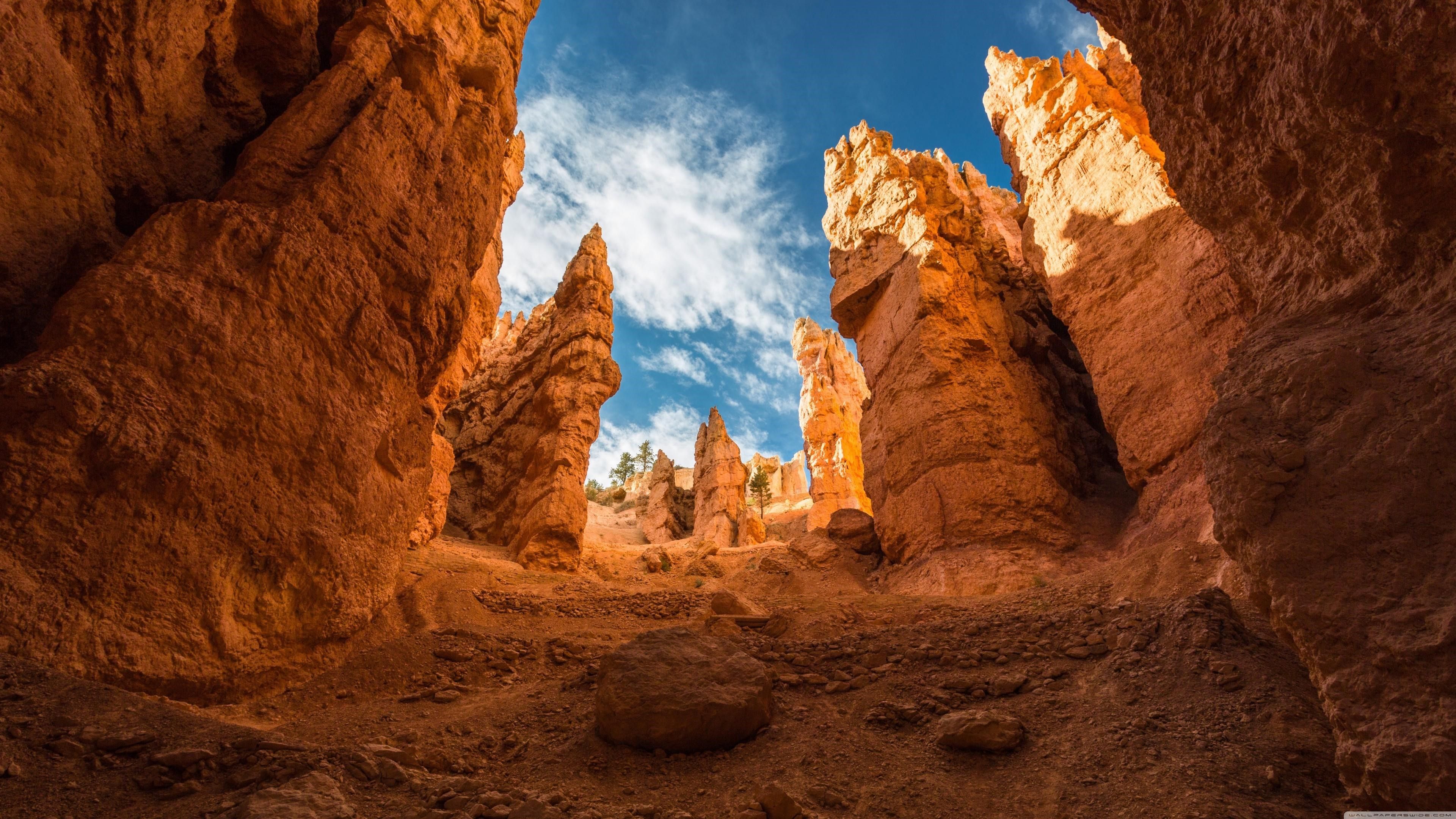 Bryce Canyon National Park in USA Travel Wallpaper