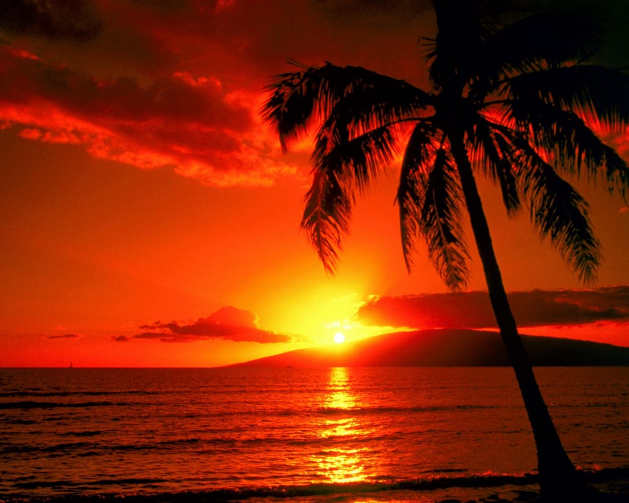 Free download Tropical Paradise Wallpaper Hawaii Maldives Tahiti Islands Beach [1920x1080] for your Desktop, Mobile & Tablet. Explore Tropical Beach Sunset Wallpaper Desktop. Beach Sunsets Wallpaper, Free Tropical Desktop