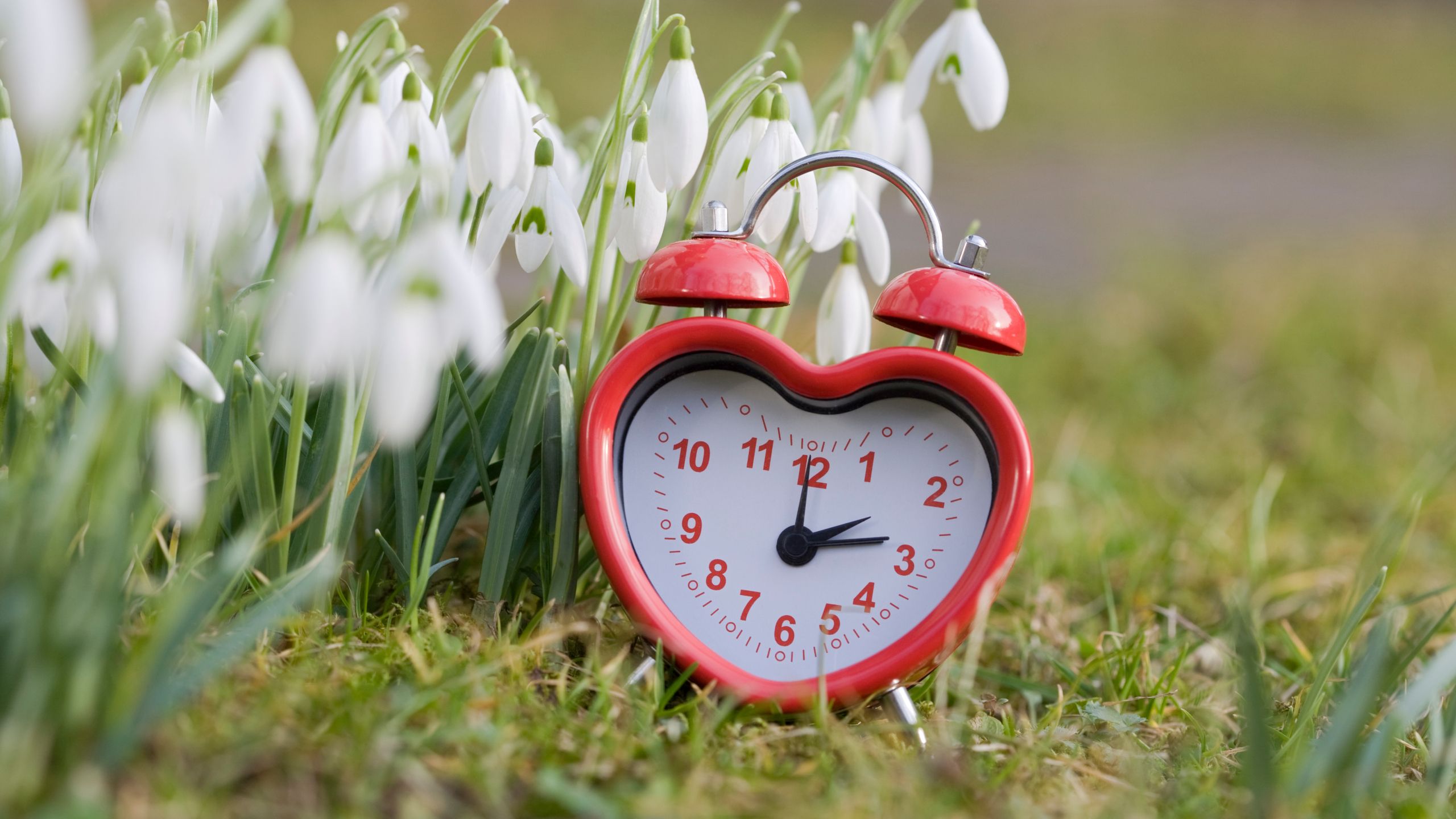 When is daylight saving time? Important reminder to spring ahead this weekend