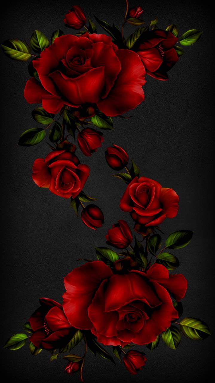 [ HQ ] Red Rose Wallpaper, Image [ Best Collection ] Quotes