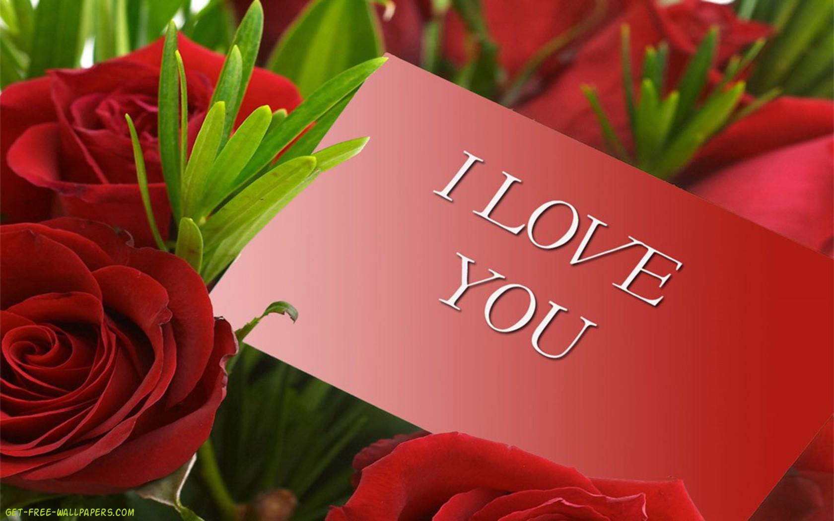 Free download Red Roses HD Wallpaper Flowers Wallpaper [1680x1050] for your Desktop, Mobile & Tablet. Explore Wallpaper Of Red Roses. Rose Wallpaper, Red Rose Wallpaper Free Download, Red Rose