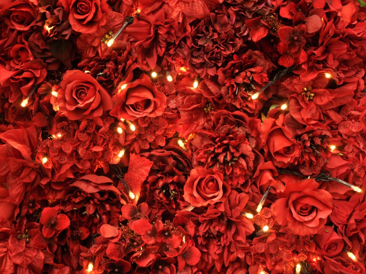 Red Roses Lights Wallpaper in jpg format for free download