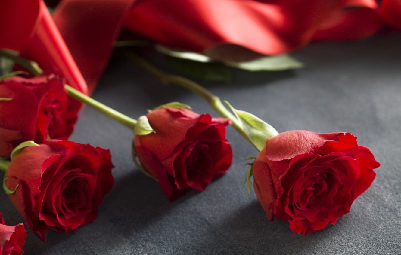 Wallpaper tape, red, love, romantic, roses, red roses, valentine`s day image for desktop, section праздники
