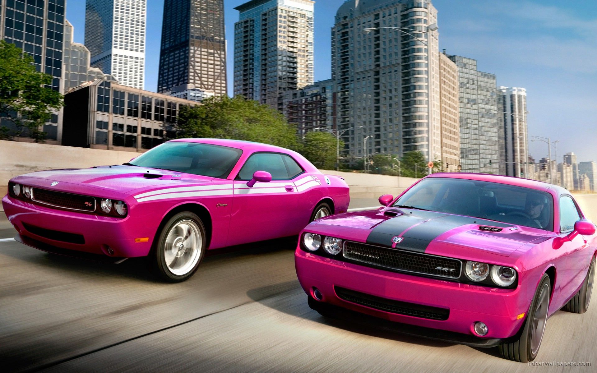 Tons of awesome pink Hellcat wallpapers to download for free. 
