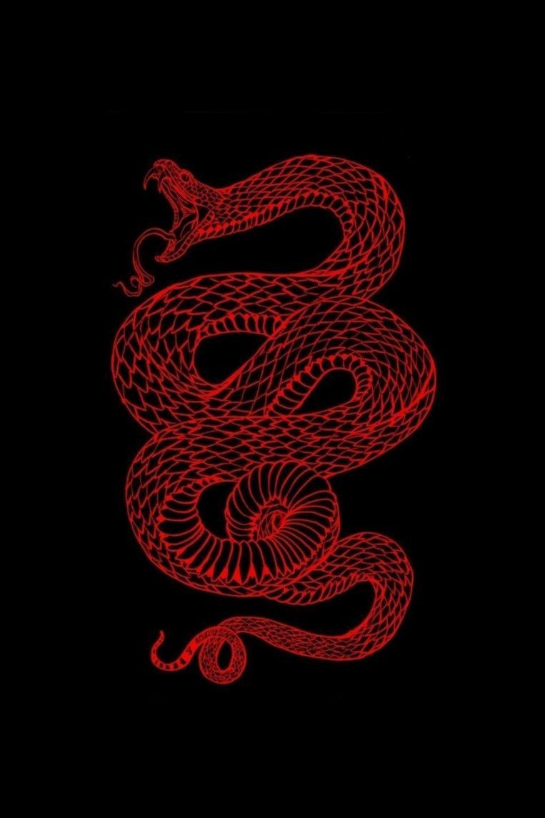 Red snake. Snake wallpaper, Edgy wallpaper, Red aesthetic