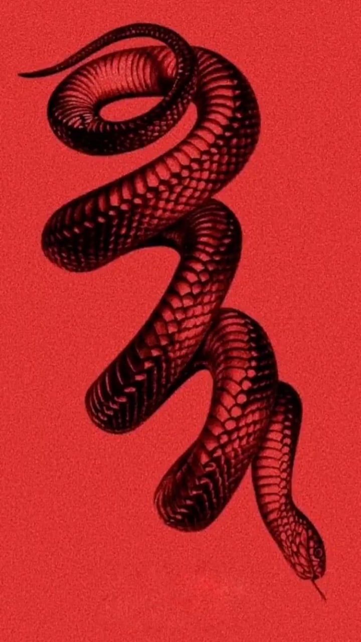 Red Snake Aesthetics Wallpaper