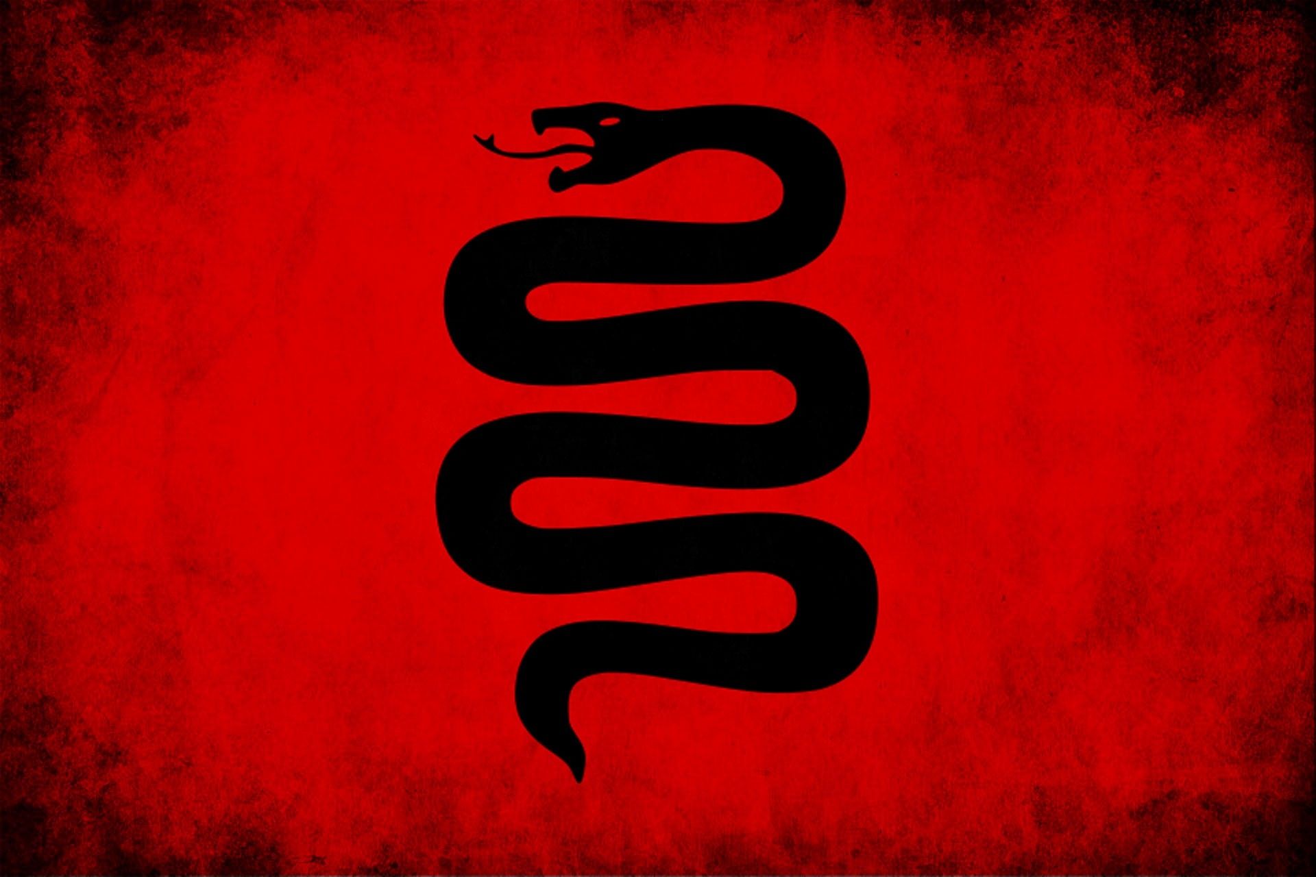 Black Snake Black and Red Snake HD wallpaper  Pxfuel