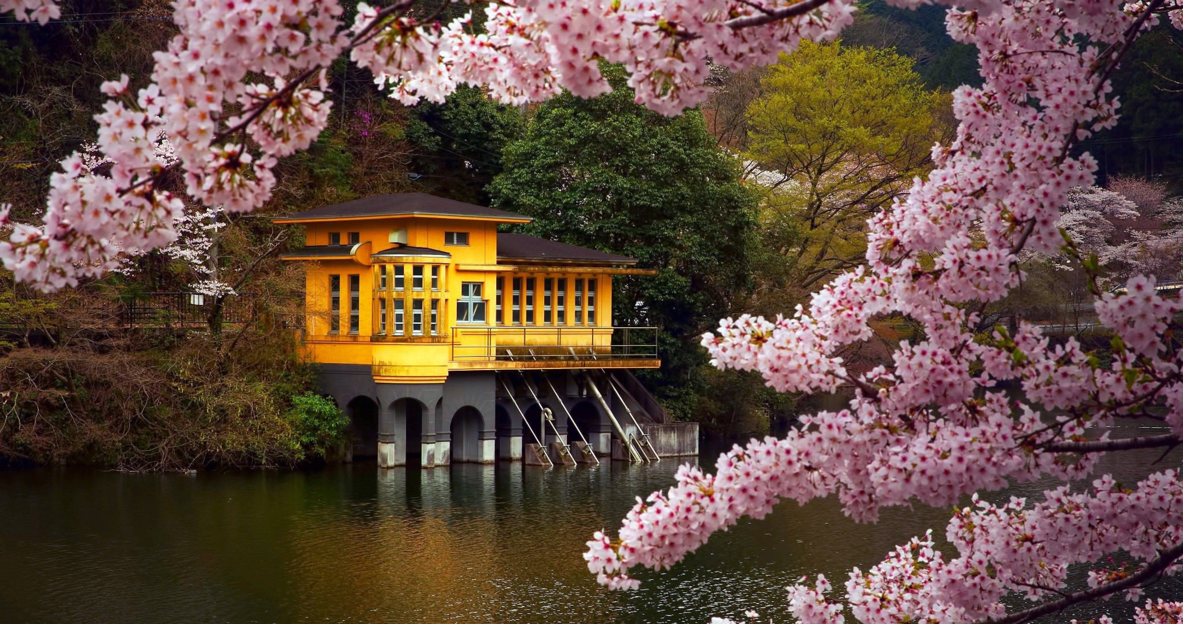 japan honshu island 56 4k ultra HD wallpaper. Spring desktop wallpaper, Spring landscape photo, Landscape wallpaper
