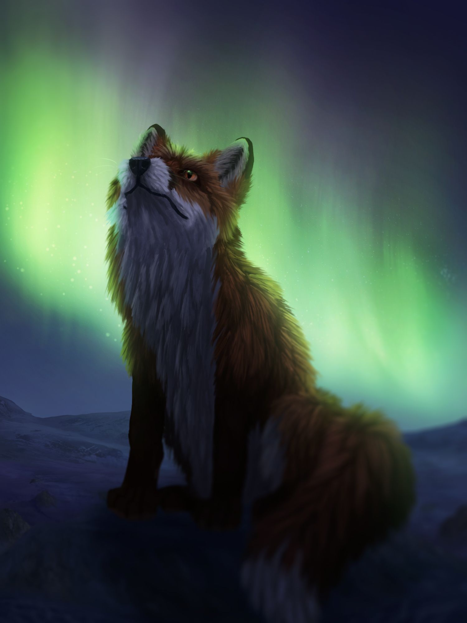 Northern Lights Fox Wallpapers - Wallpaper Cave