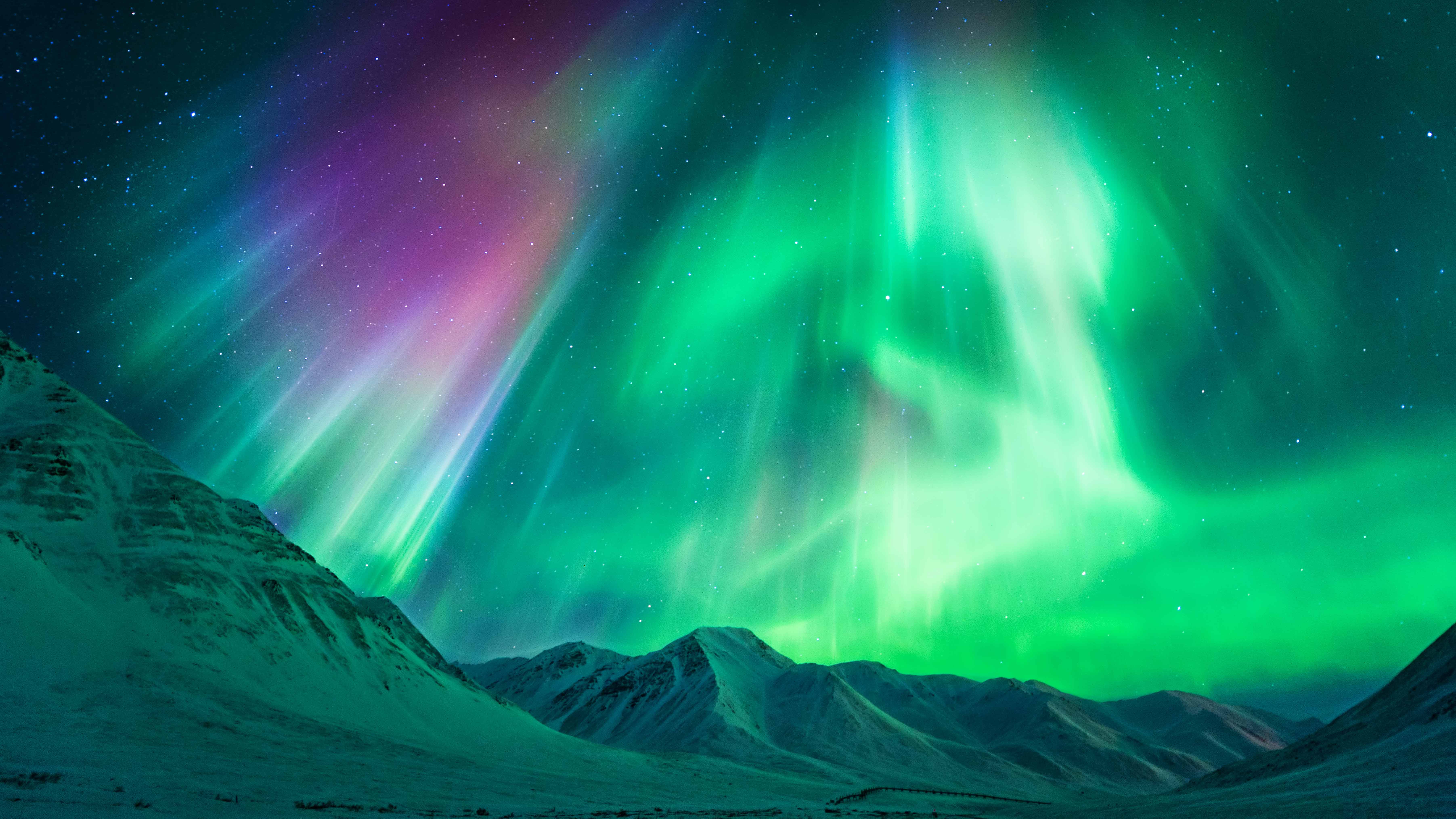 Northern Lights Fox Wallpapers Wallpaper Cave