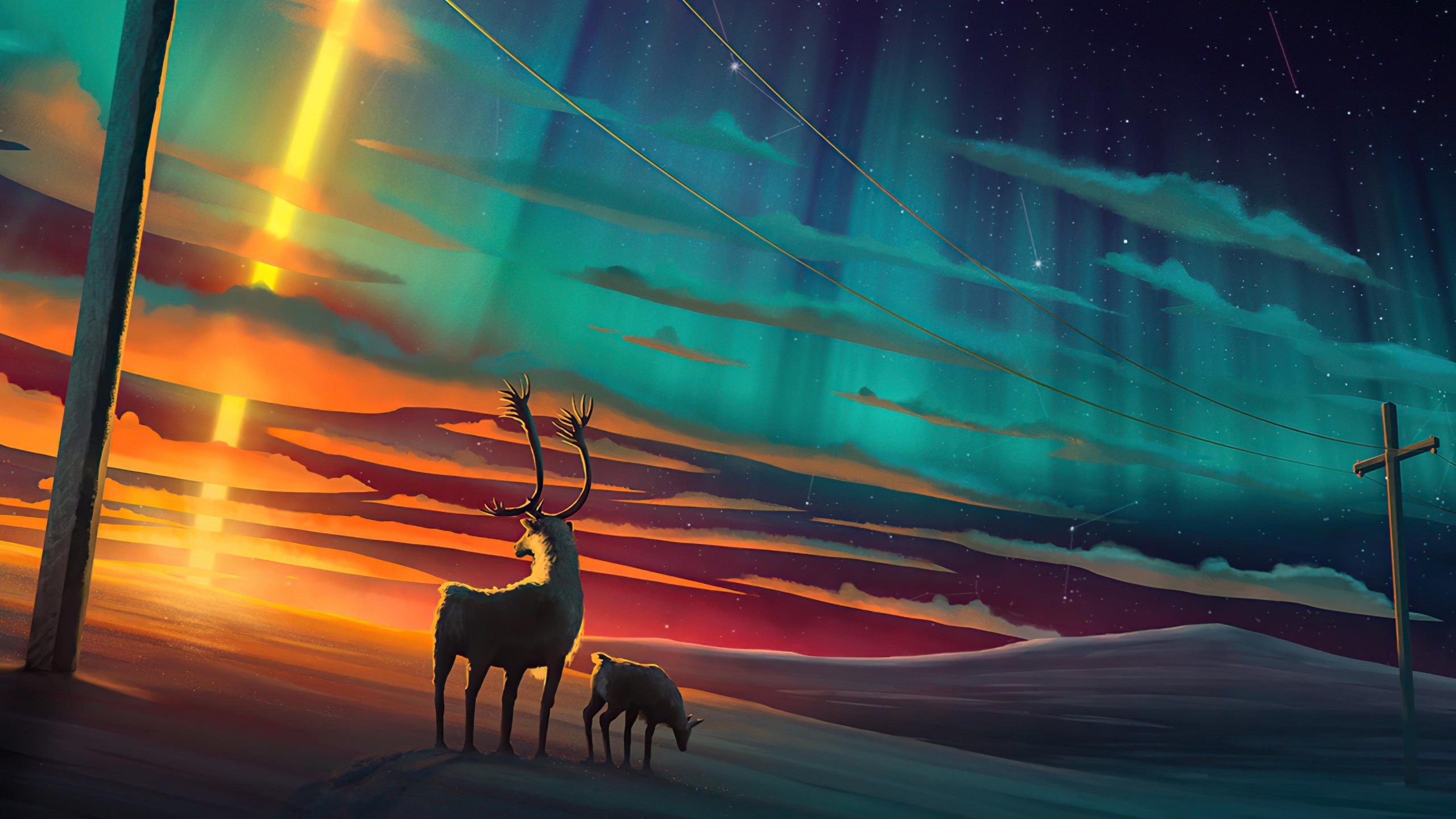 Reindeer Northern Lights Wallpaper HD For Tech