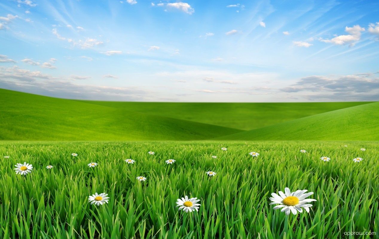 Springtime Meadow Wallpapers - Wallpaper Cave