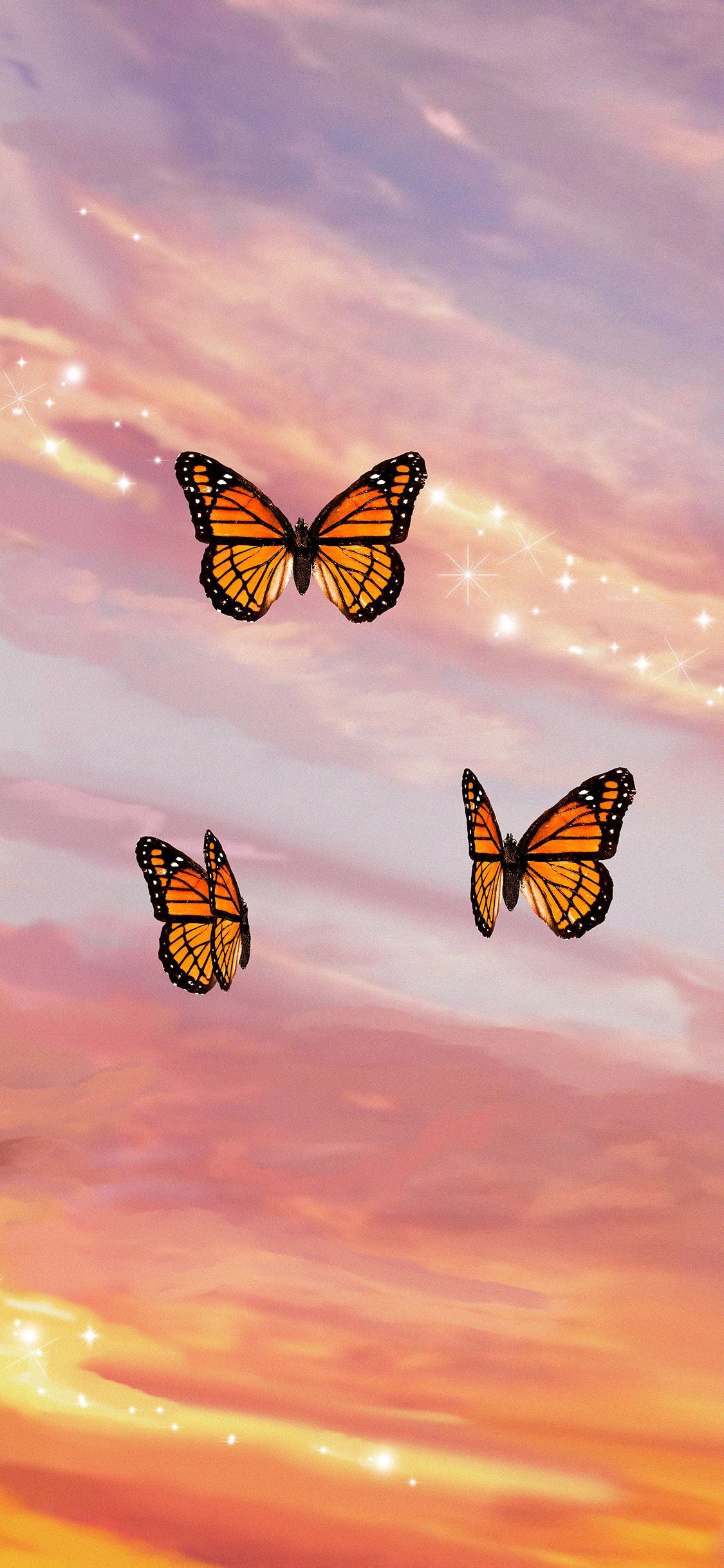 Butterfly Sunset Wallpaper Free Butterfly Sunset Background