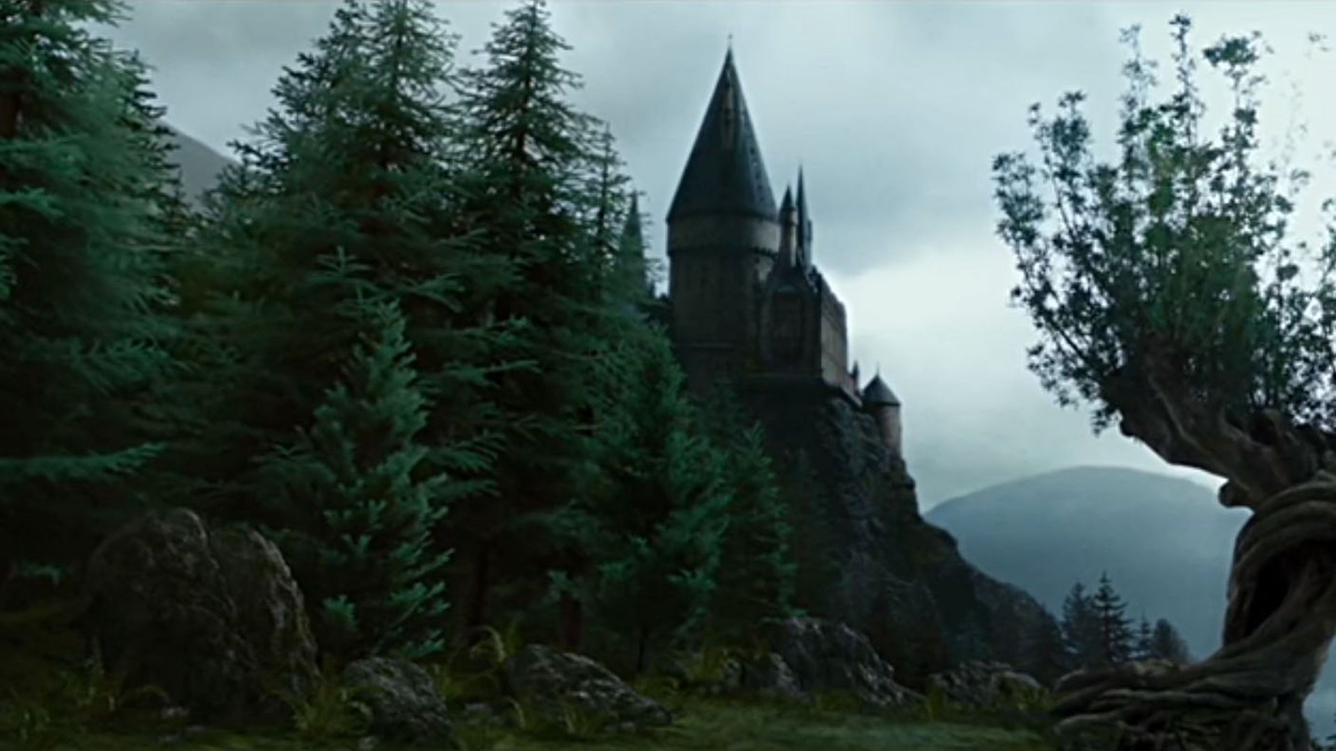 Inside The New Forbidden Forest At The Making Of Harry Potter