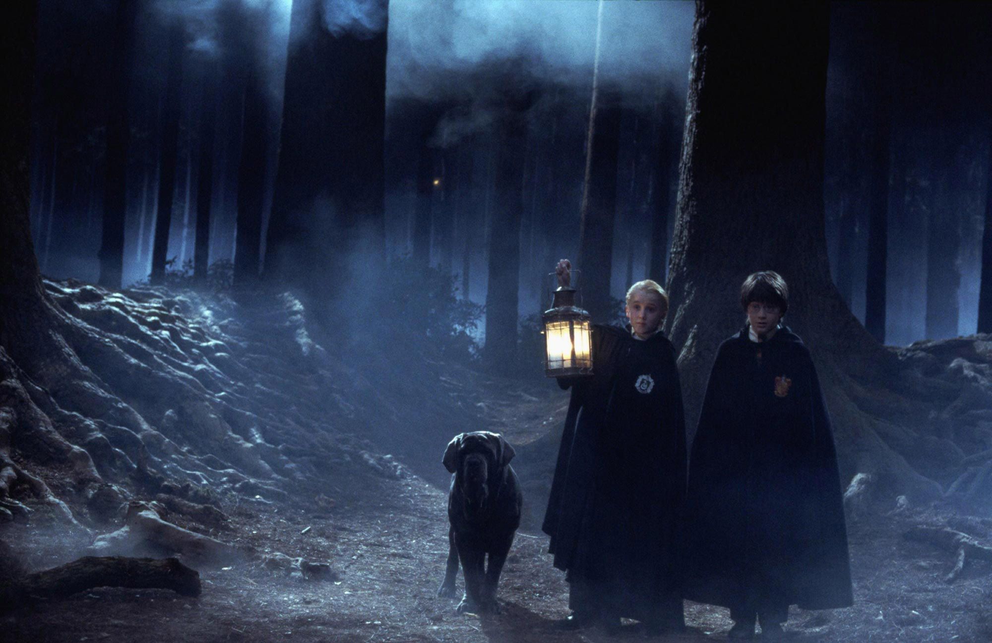 Soon You Can Actually Visit The Forbidden Forest From Harry Potter