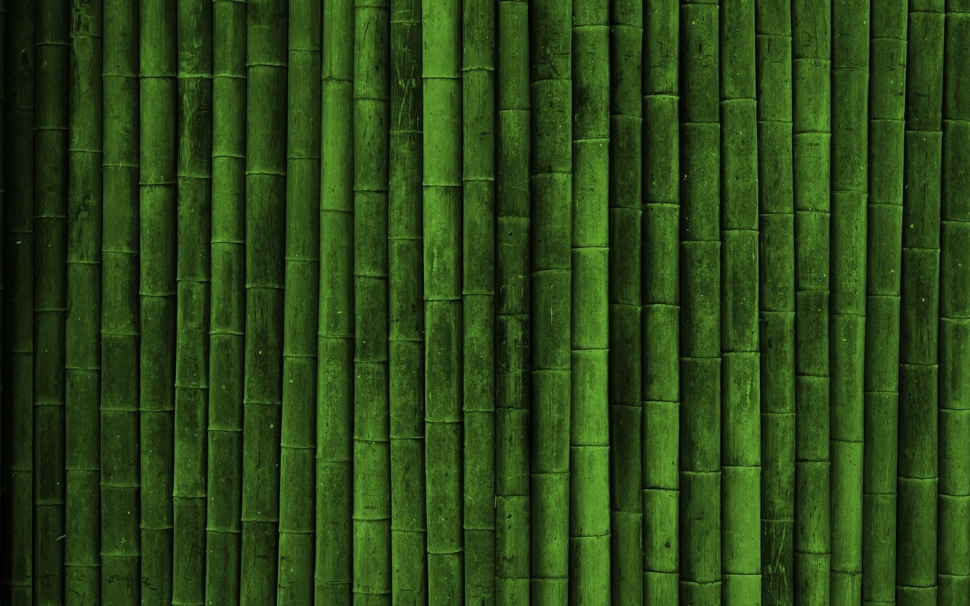 Sugar Cane Wallpaper Free Sugar Cane Background