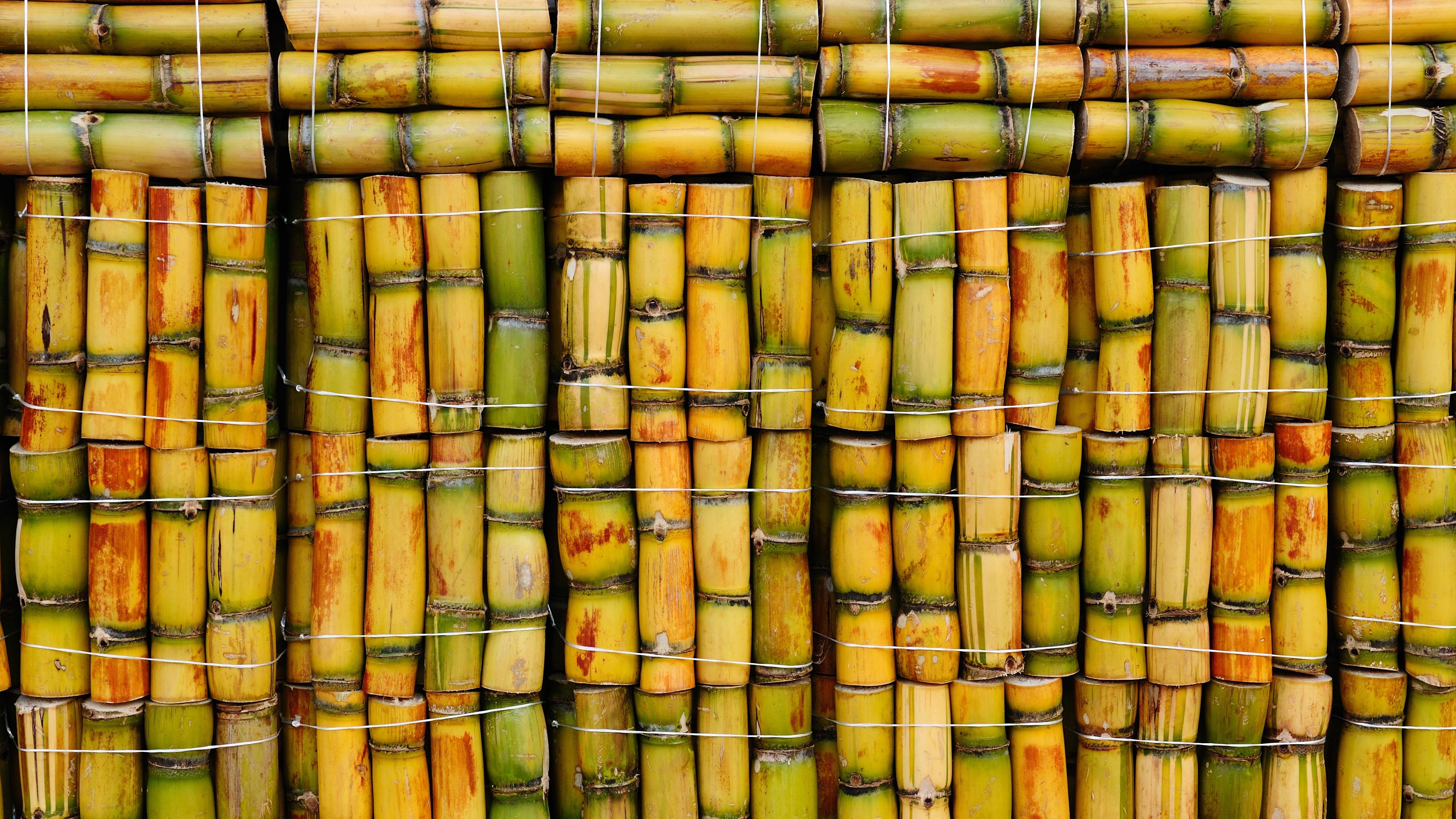 Wallpaper Sugar cane, bamboo background 3840x2160 UHD 4K Picture, Image