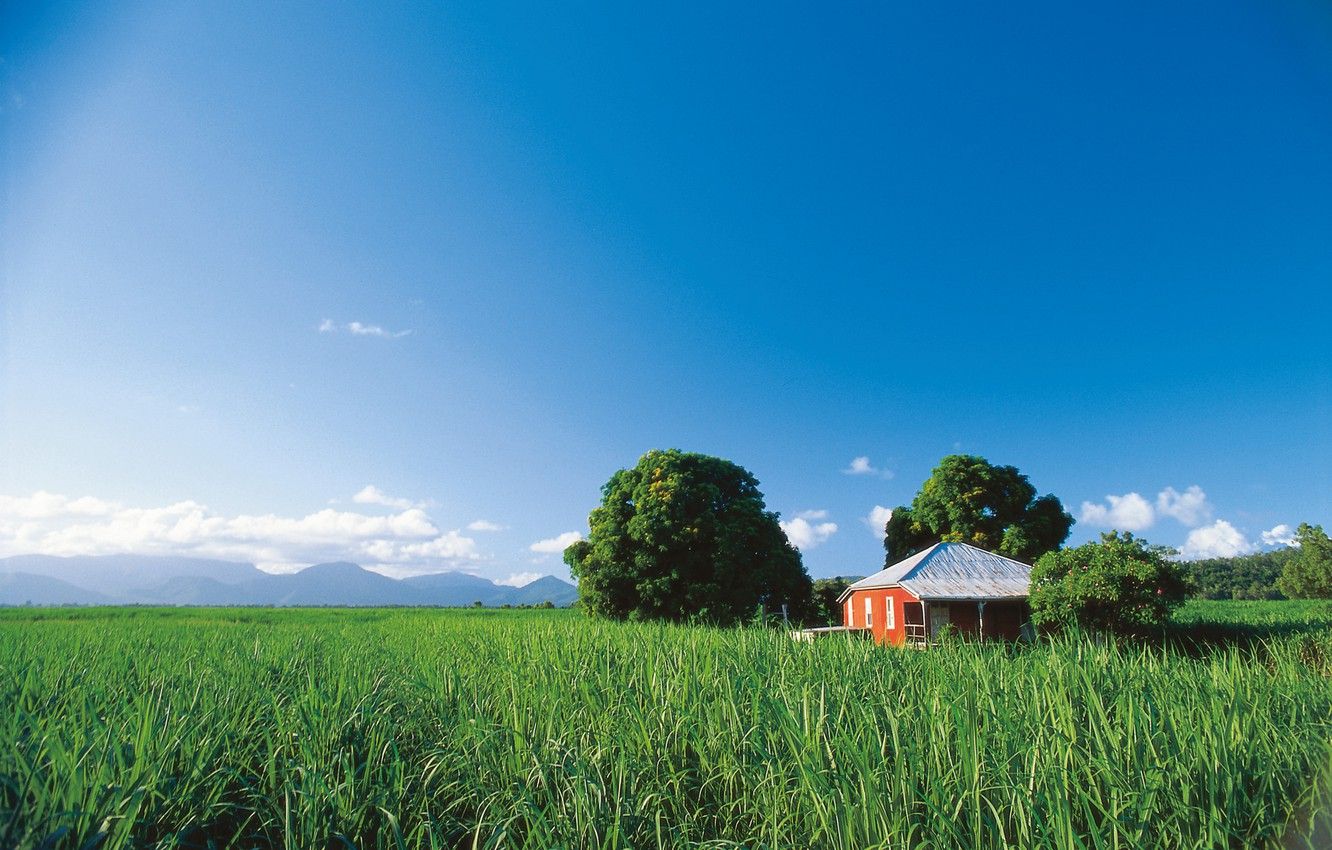 Wallpaper field, the sky, house, Queensland, Sugar Cane Farm image for desktop, section пейзажи