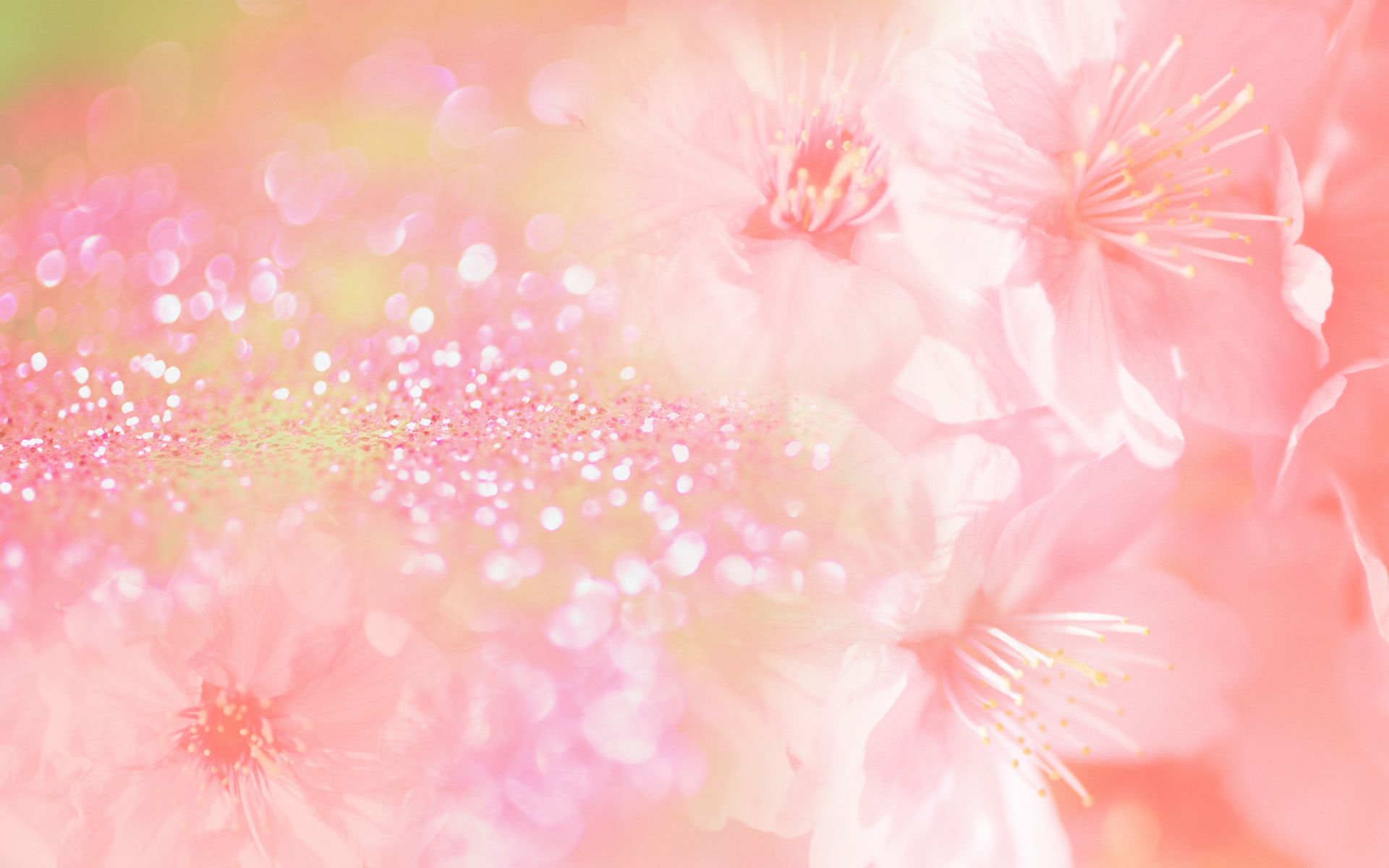 Background Image Flowers Pink