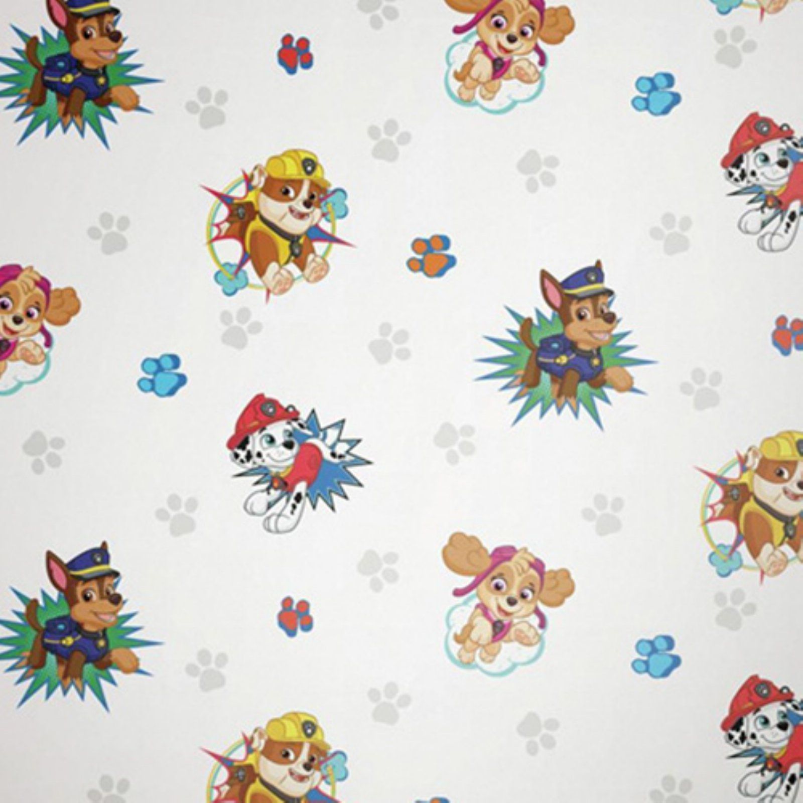 PAW Patrol Aesthetic Background