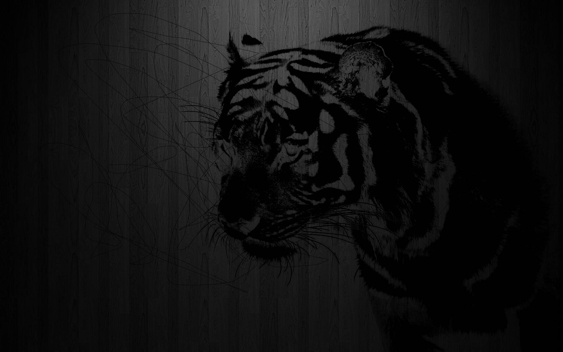 Black Tiger Wallpaper
